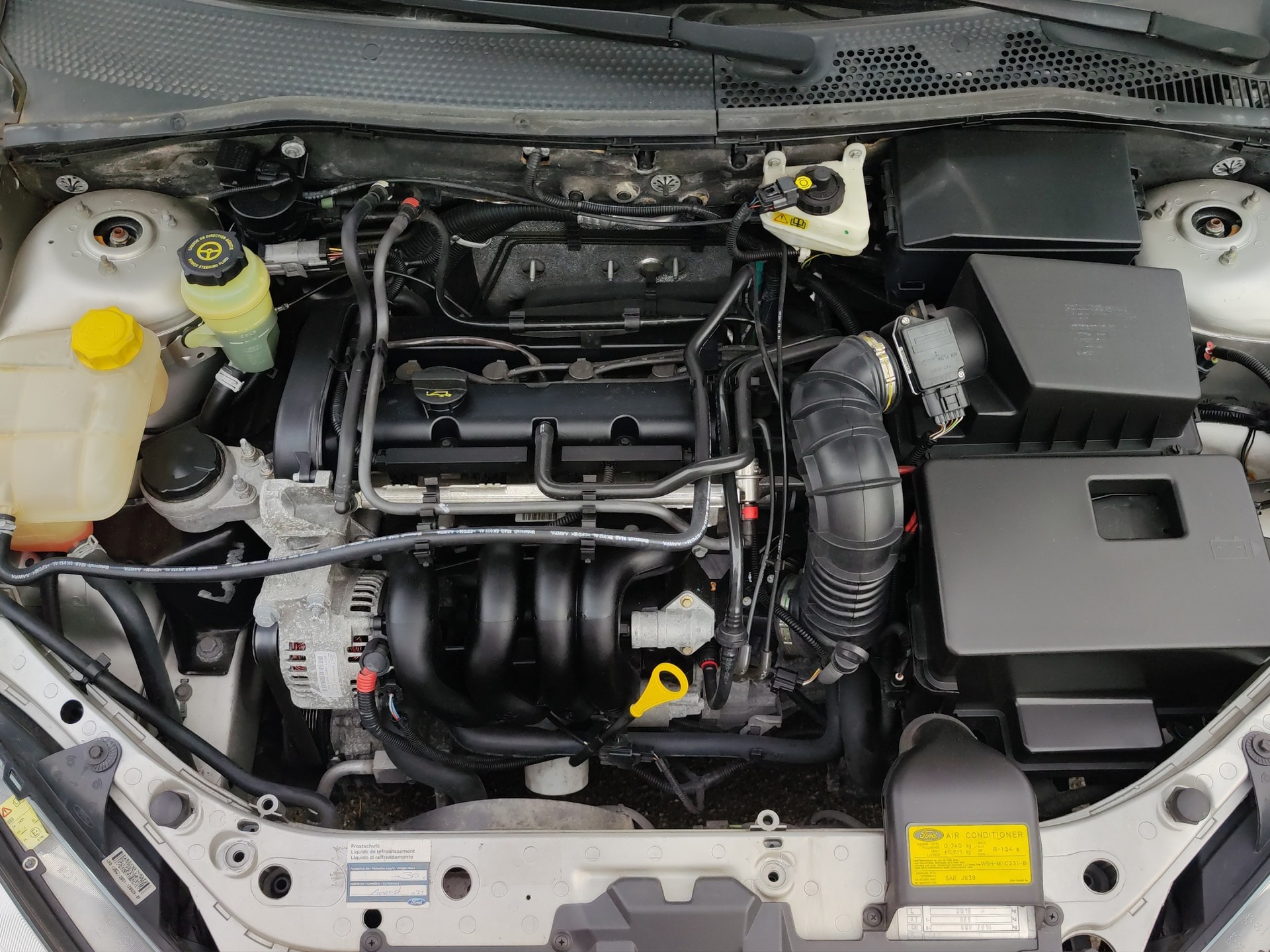 FORD Focus 1.6i 16V Carving-image-22