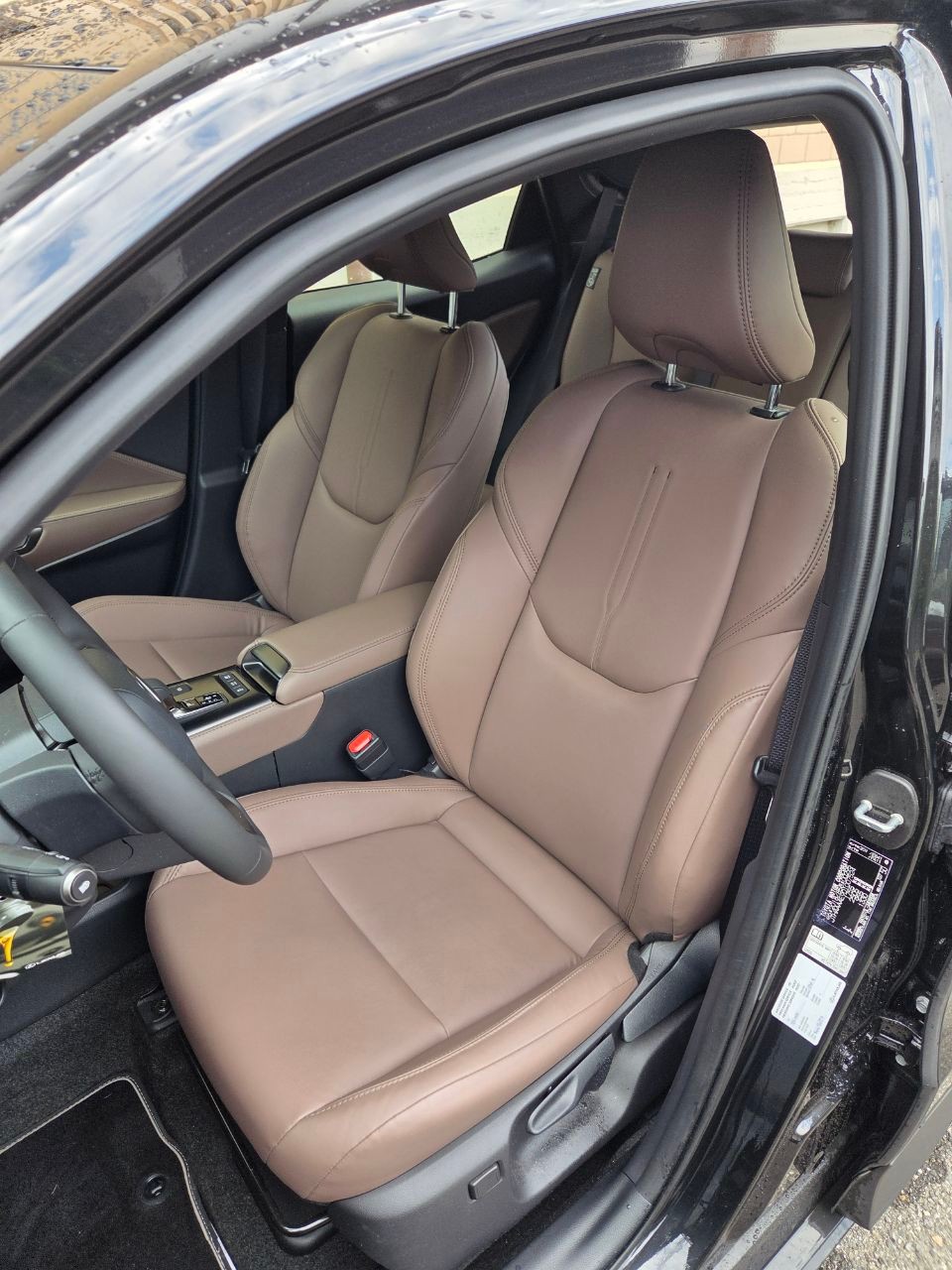 LEXUS 1.5 Hybrid Elegant-image-11