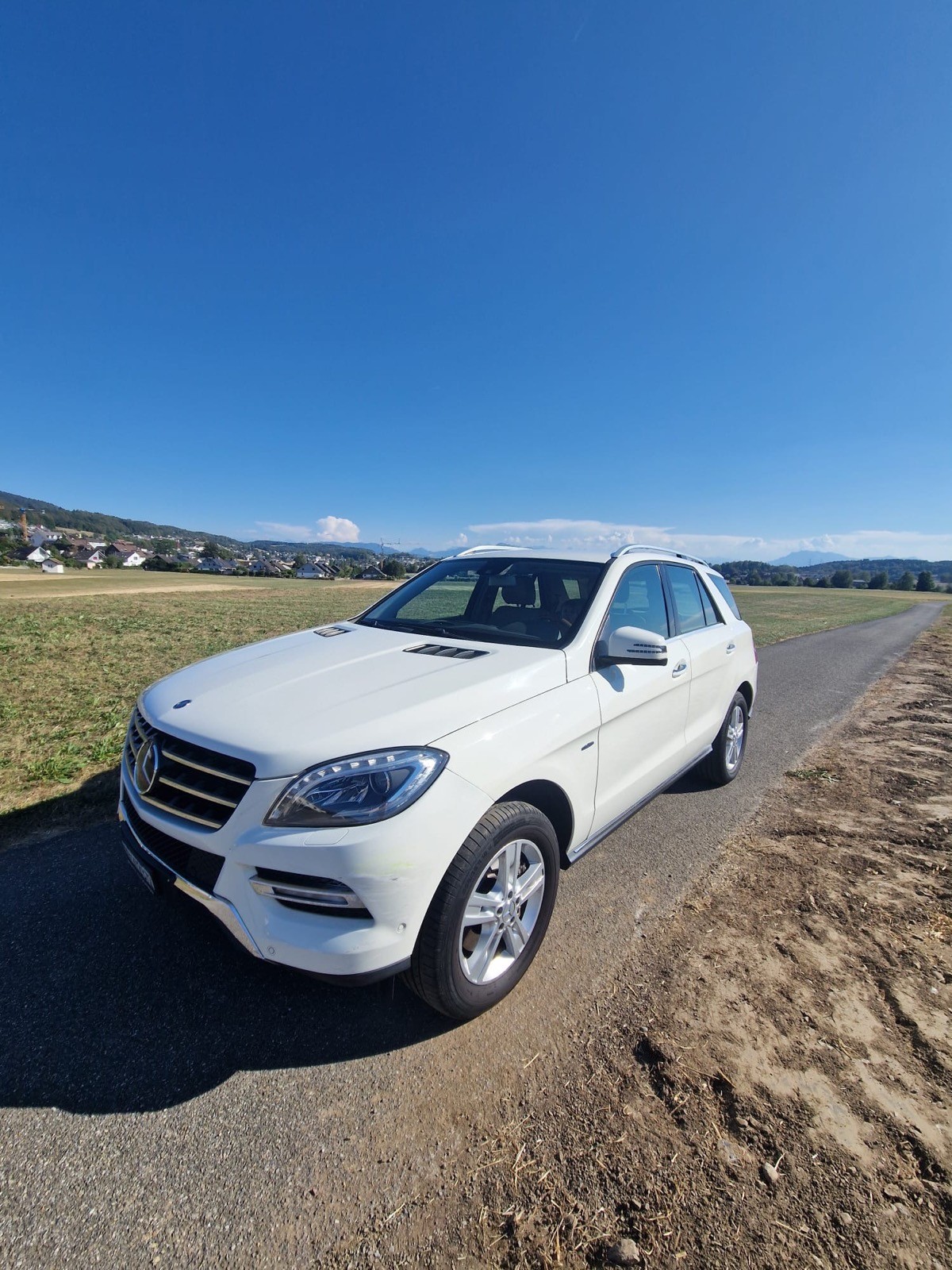 MERCEDES-BENZ ML 350 V6 BlueEF