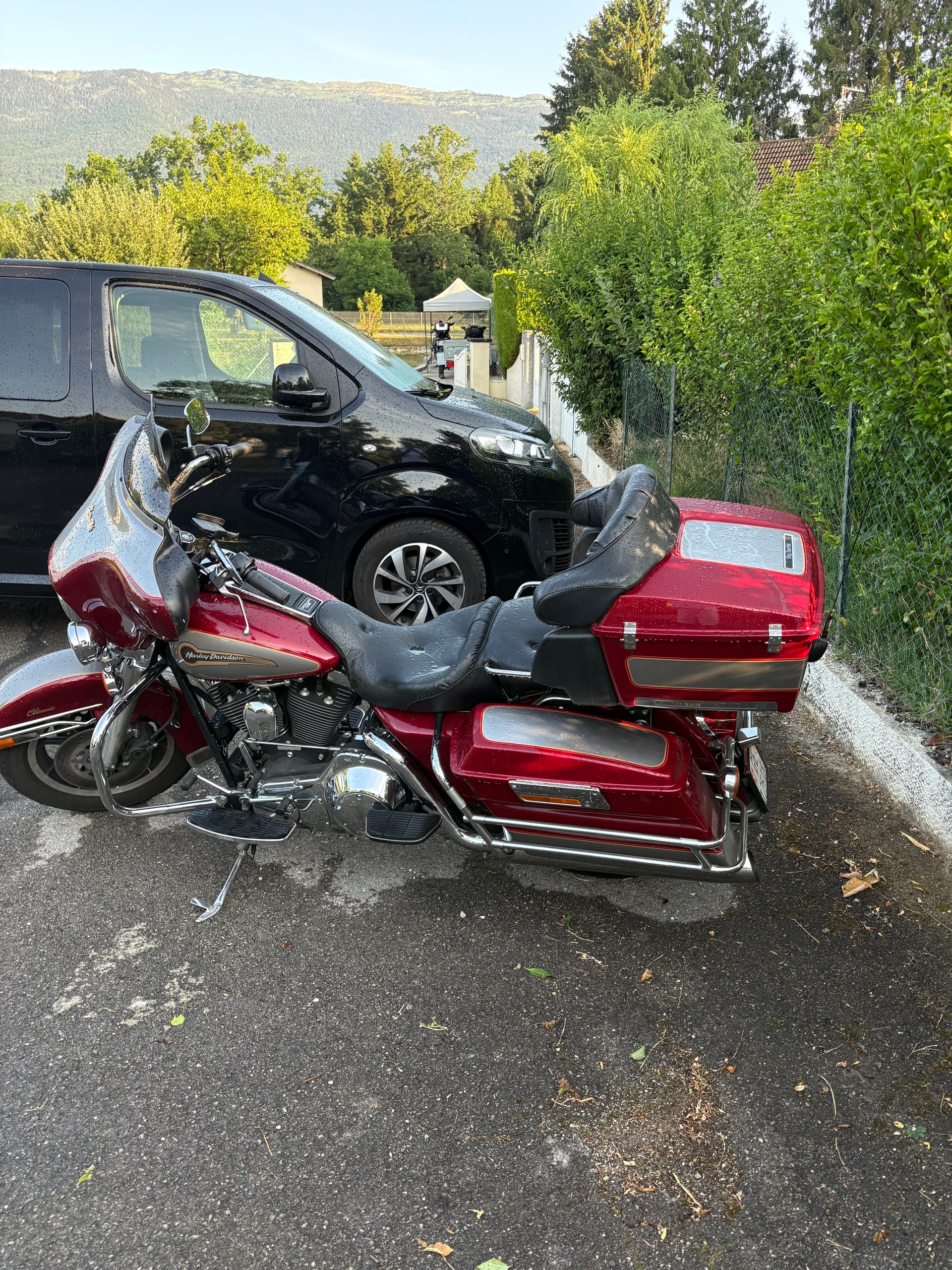 HARLEY-DAVIDSON Electca Glide classic-image-4