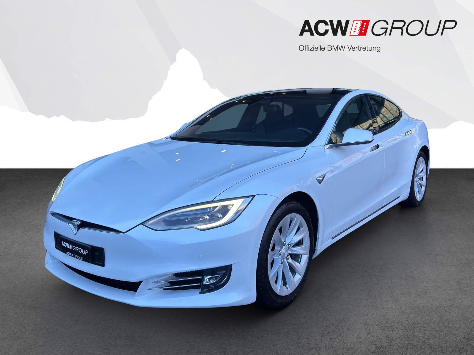 TESLA Model S 100 D