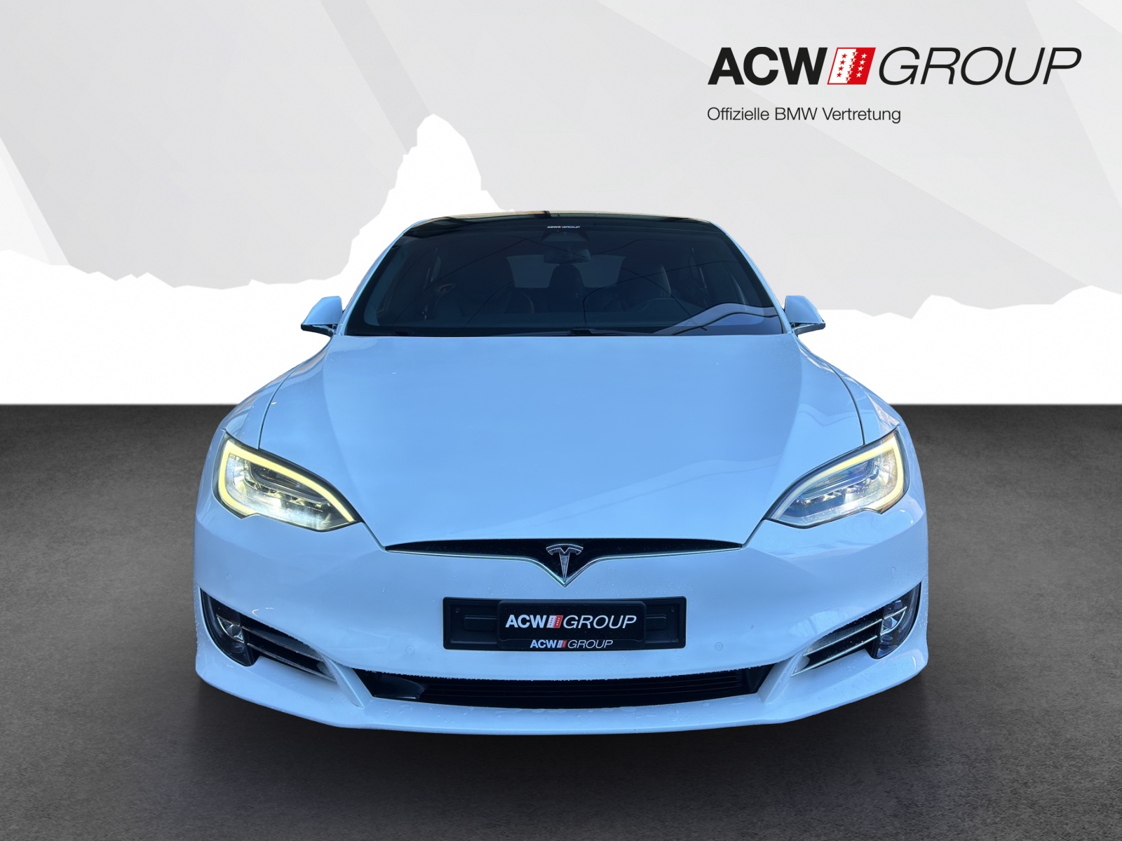 TESLA Model S 100 D-image-7