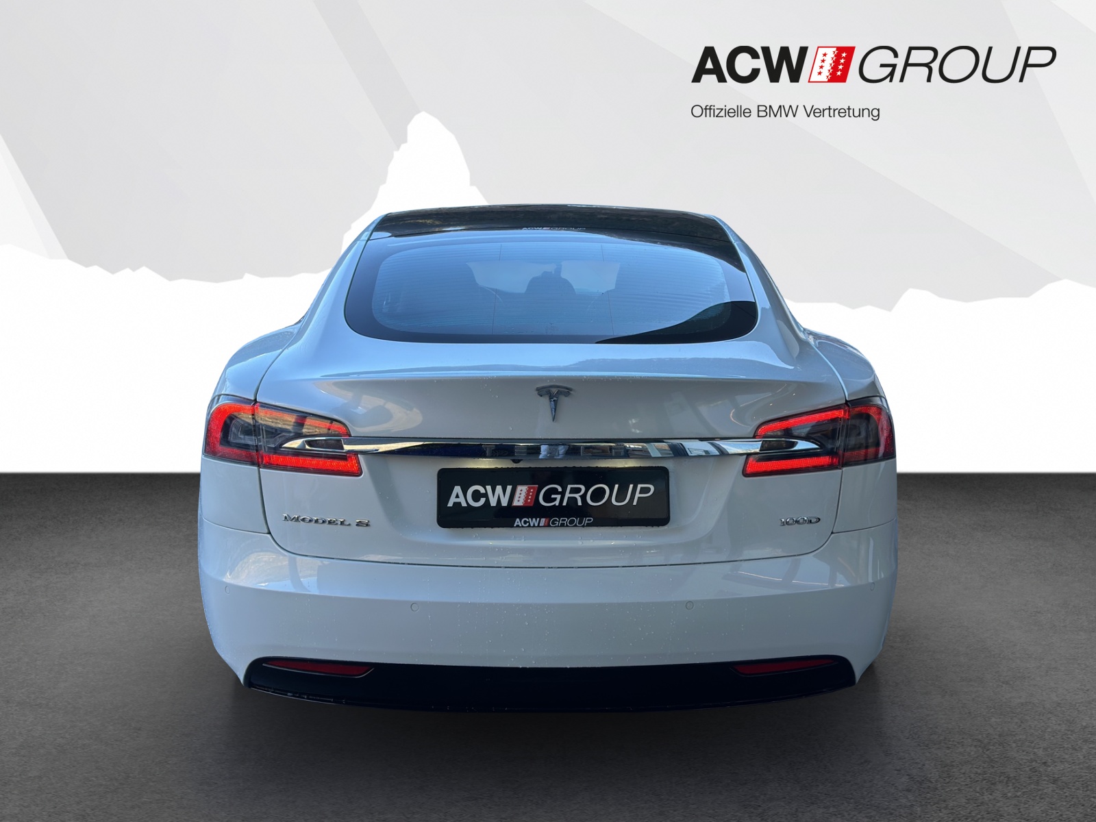 TESLA Model S 100 D-showroom-element-3