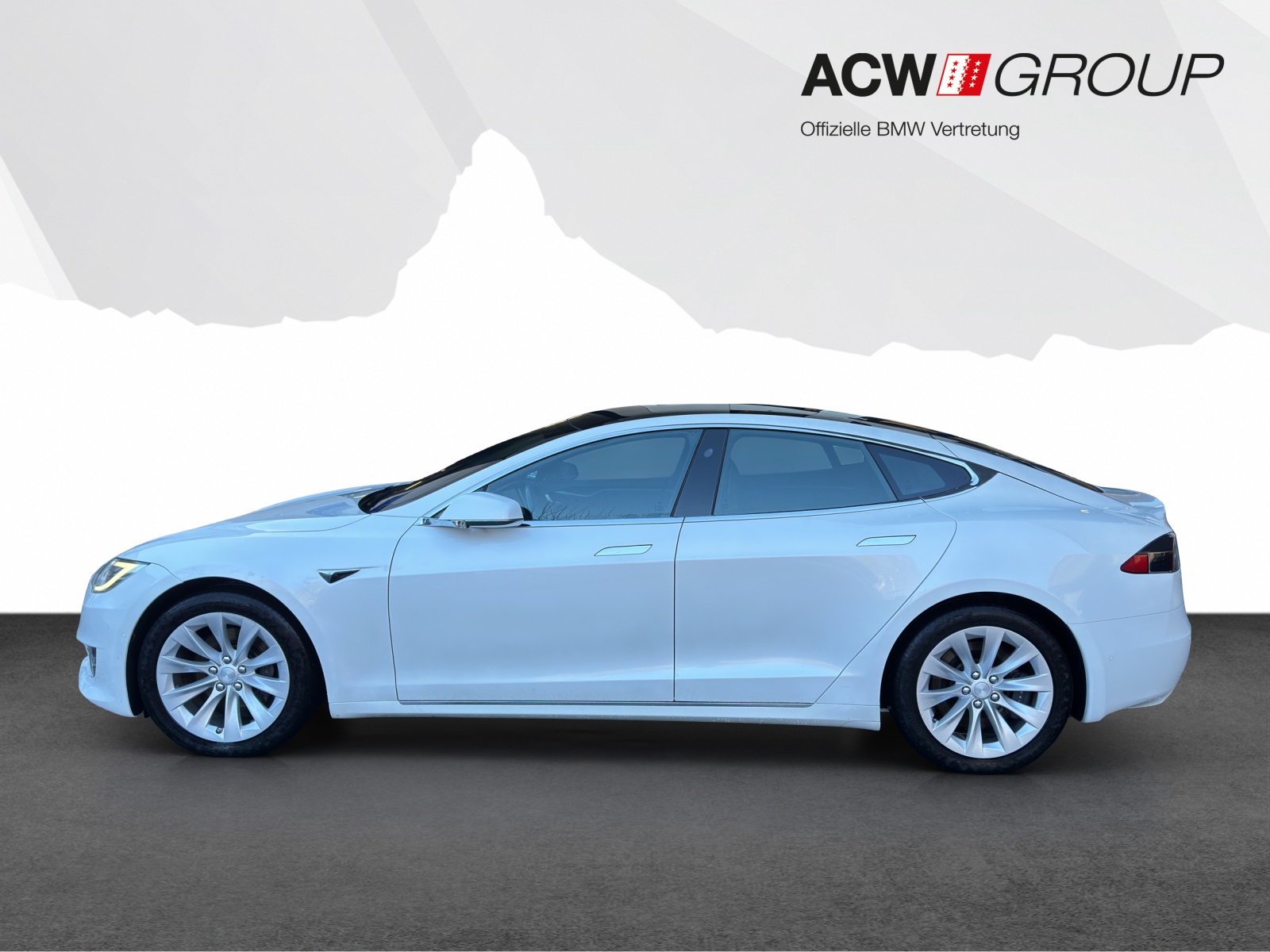 TESLA Model S 100 D-showroom-element-1