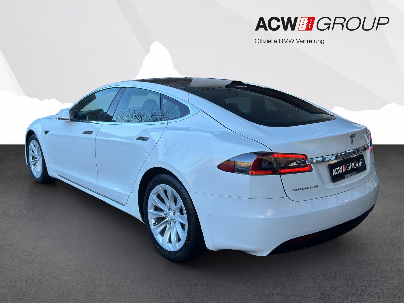 TESLA Model S 100 D-showroom-element-2