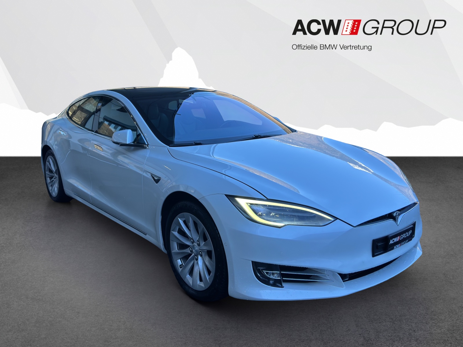 TESLA Model S 100 D-image-6