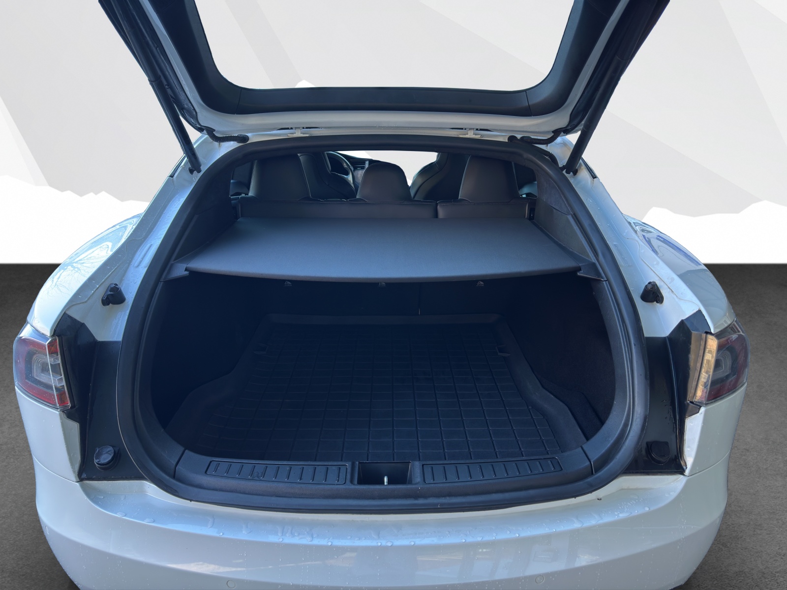 TESLA Model S 100 D-image-14