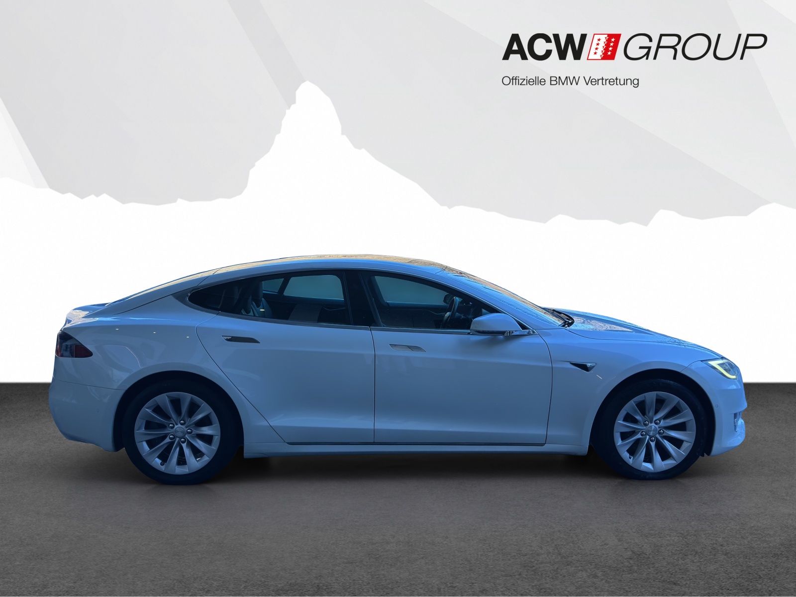 TESLA Model S 100 D-image-5