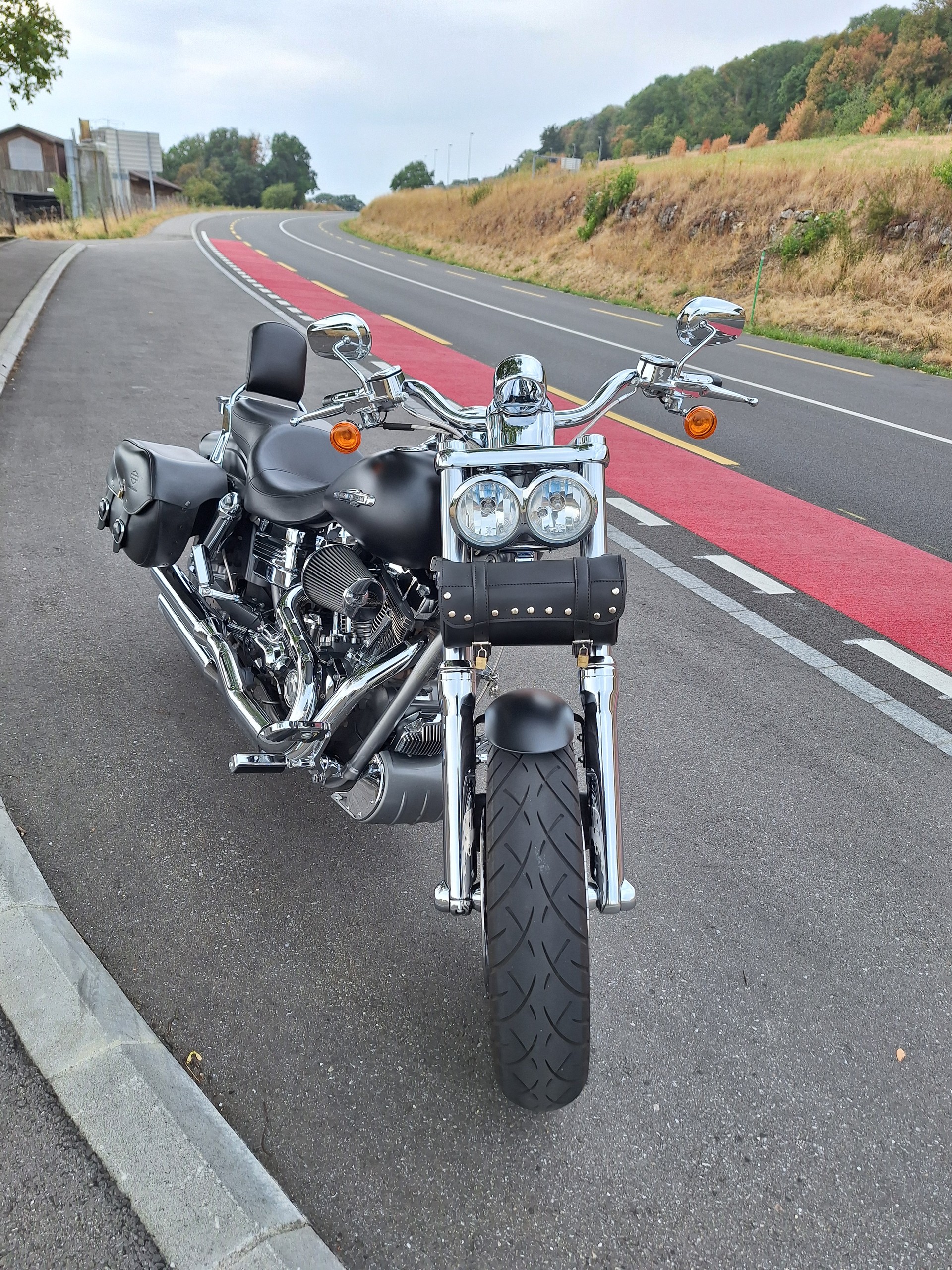 HARLEY-DAVIDSON FXDRS-image-0