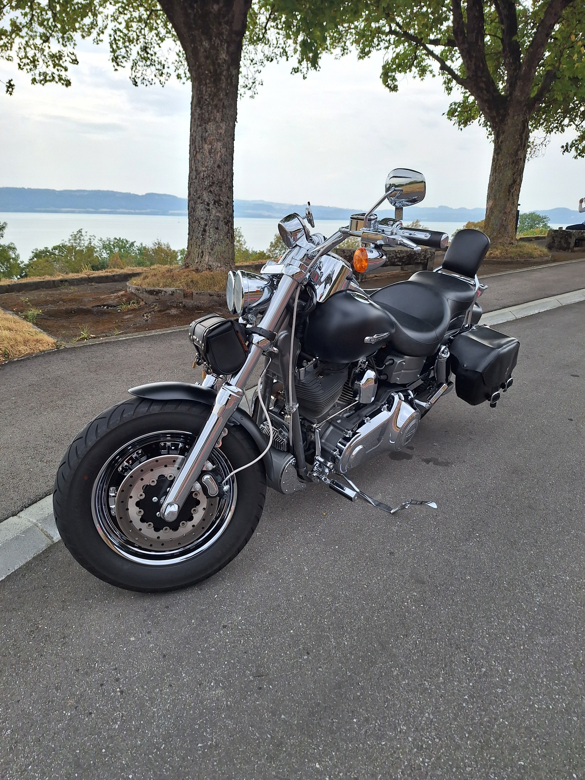 HARLEY-DAVIDSON FXDRS-image-3