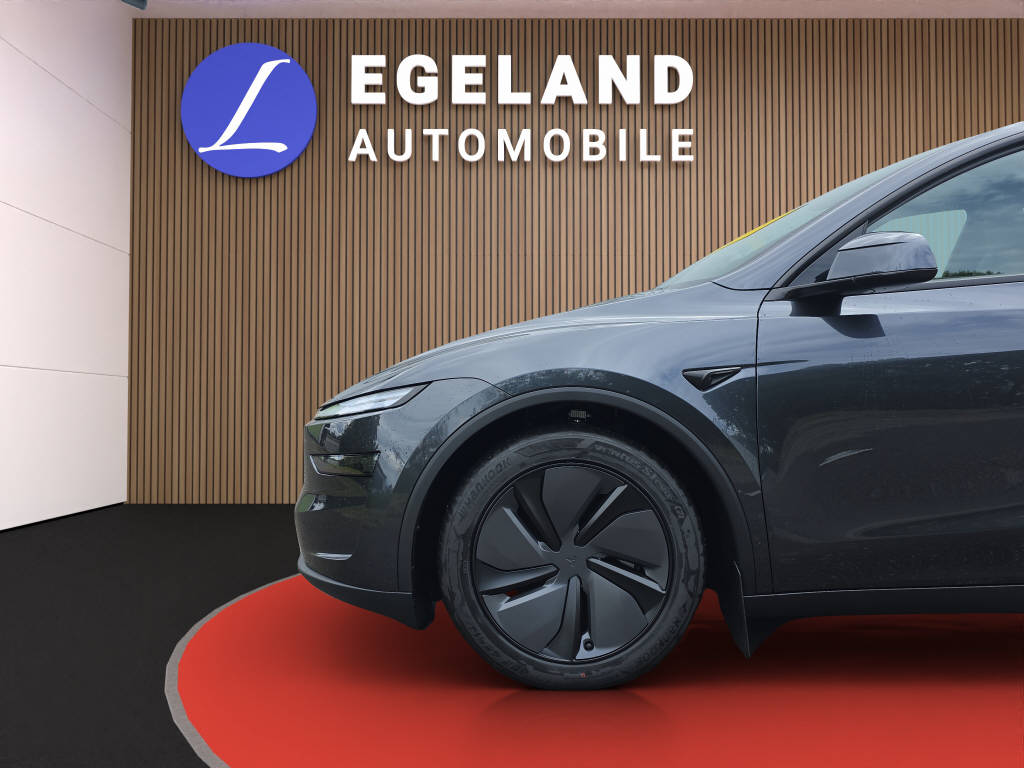 TESLA Model Y Long Range Premium AWD-image-8