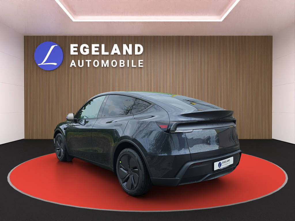TESLA Model Y Long Range Premium AWD-image-4