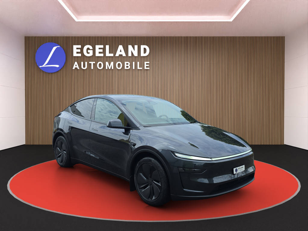 TESLA Model Y Long Range Premium AWD-showroom-element-1