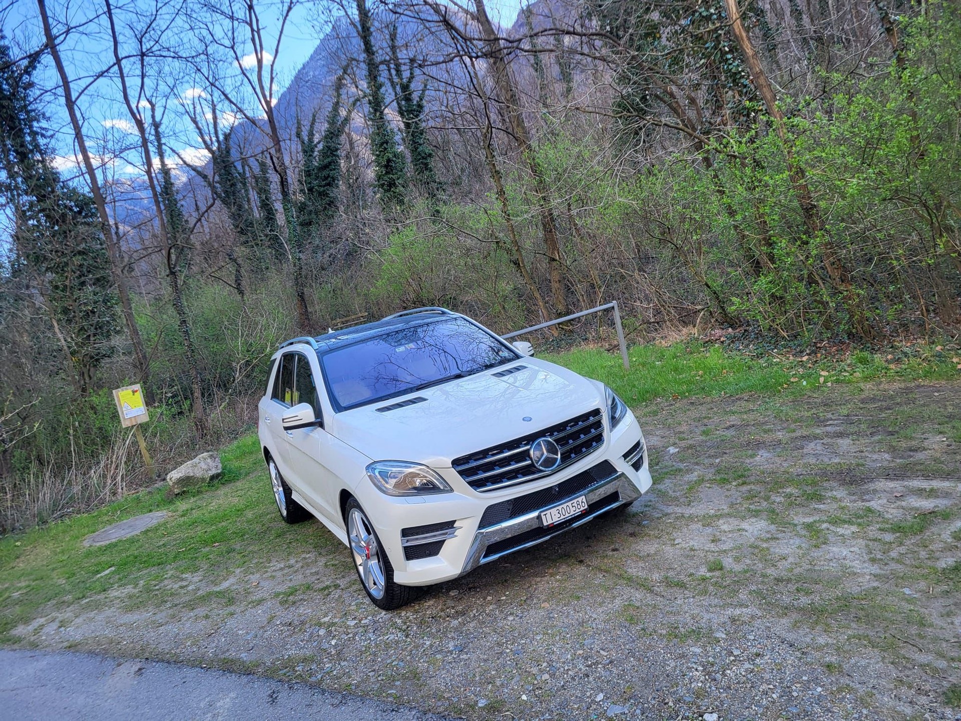 MERCEDES-BENZ ML 350 BlueTEC 4Matic 7G-Tronic-image-8