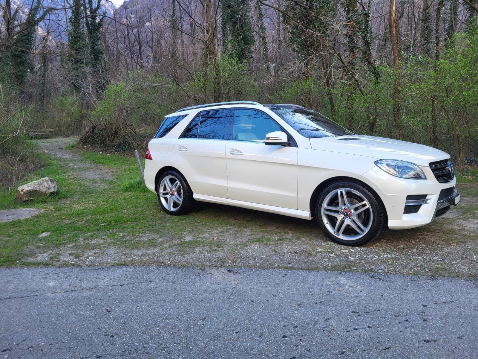 MERCEDES-BENZ ML 350 BlueTEC 4Matic 7G-Tronic-image-4