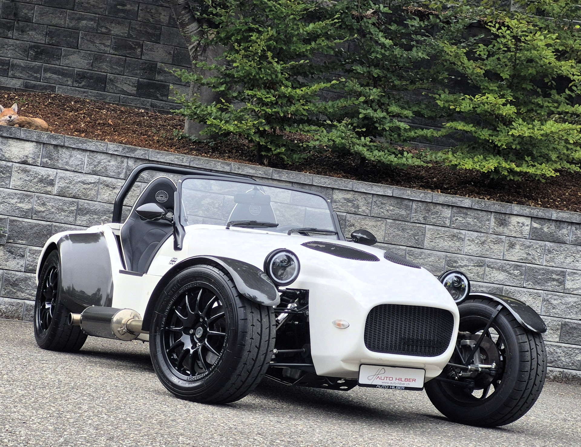 WESTFIELD FW 300 ST *200PS*-showroom-element-1