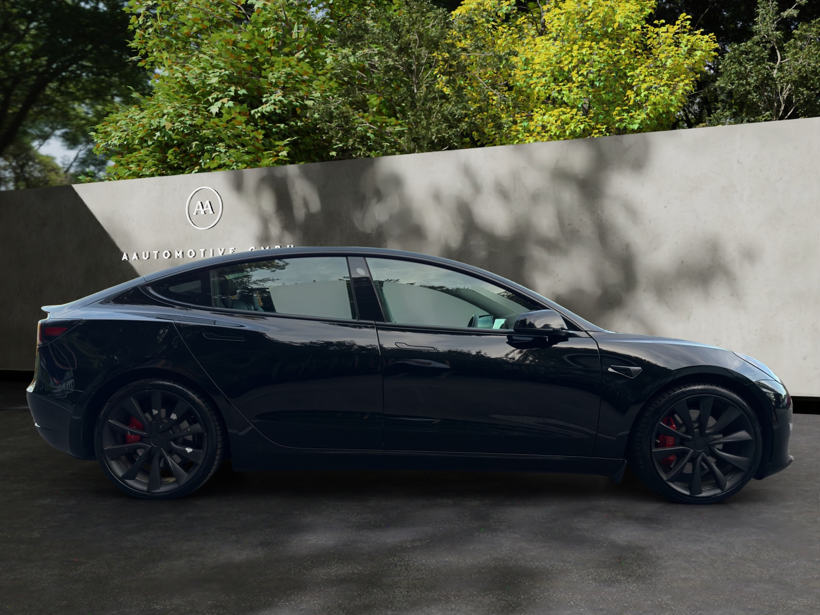 TESLA Model 3 Performance Dual Motor AWD-image-6