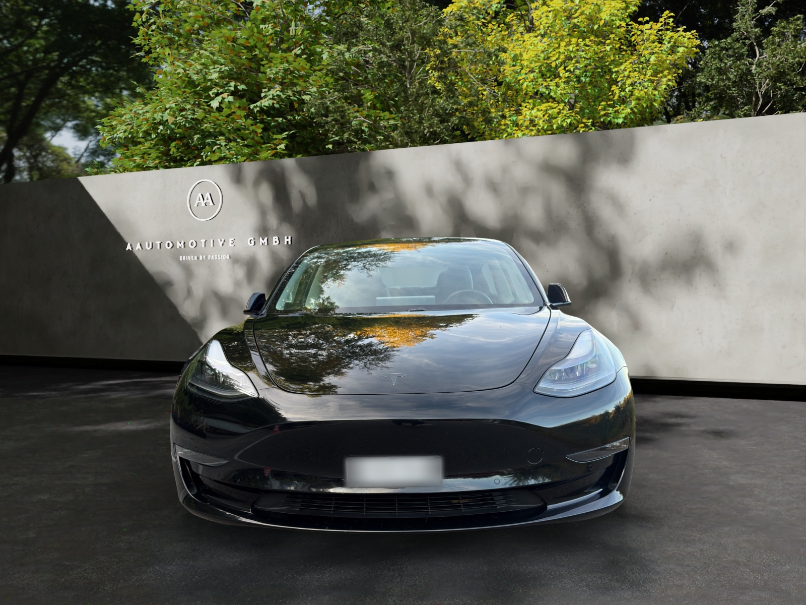 TESLA Model 3 Performance Dual Motor AWD-showroom-element-1