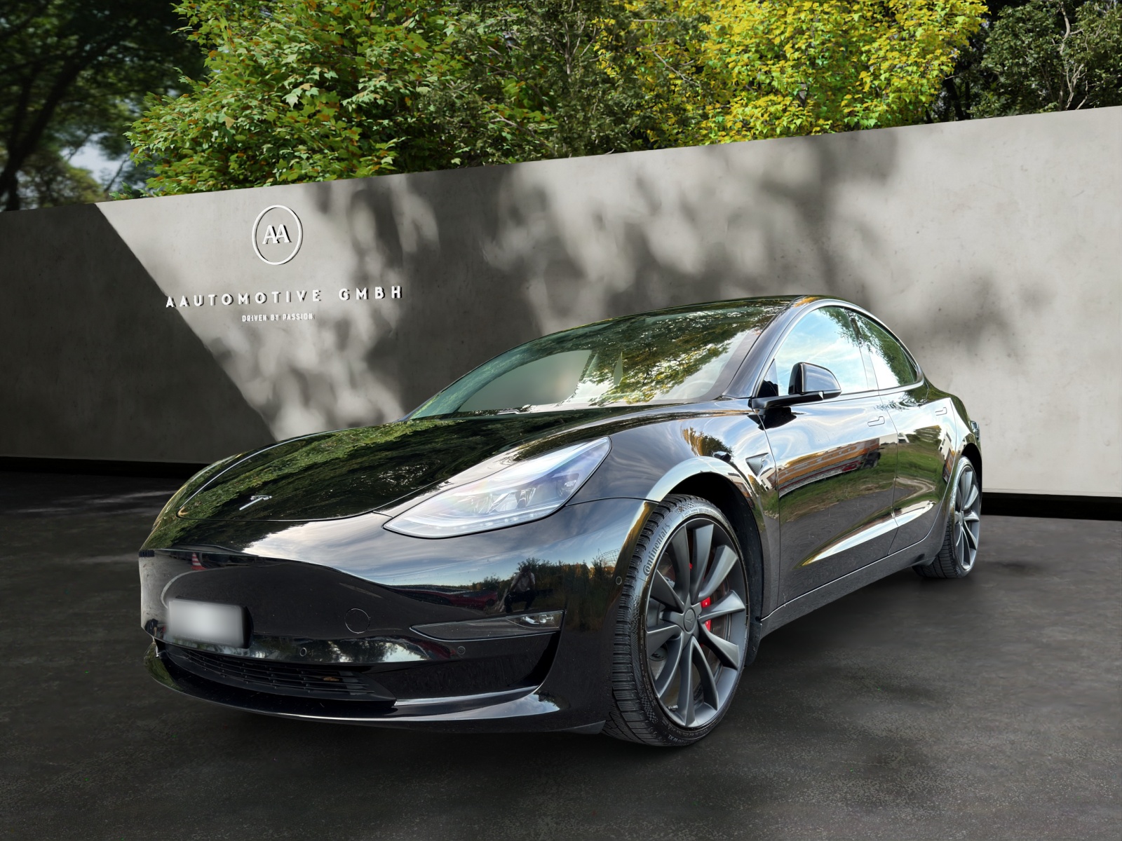 TESLA Model 3 Performance Dual Motor AWD