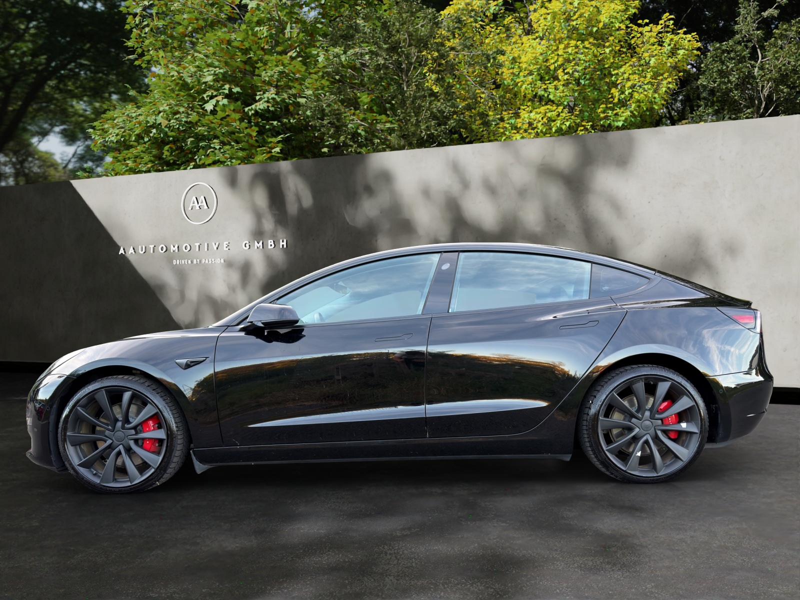 TESLA Model 3 Performance Dual Motor AWD-showroom-element-2