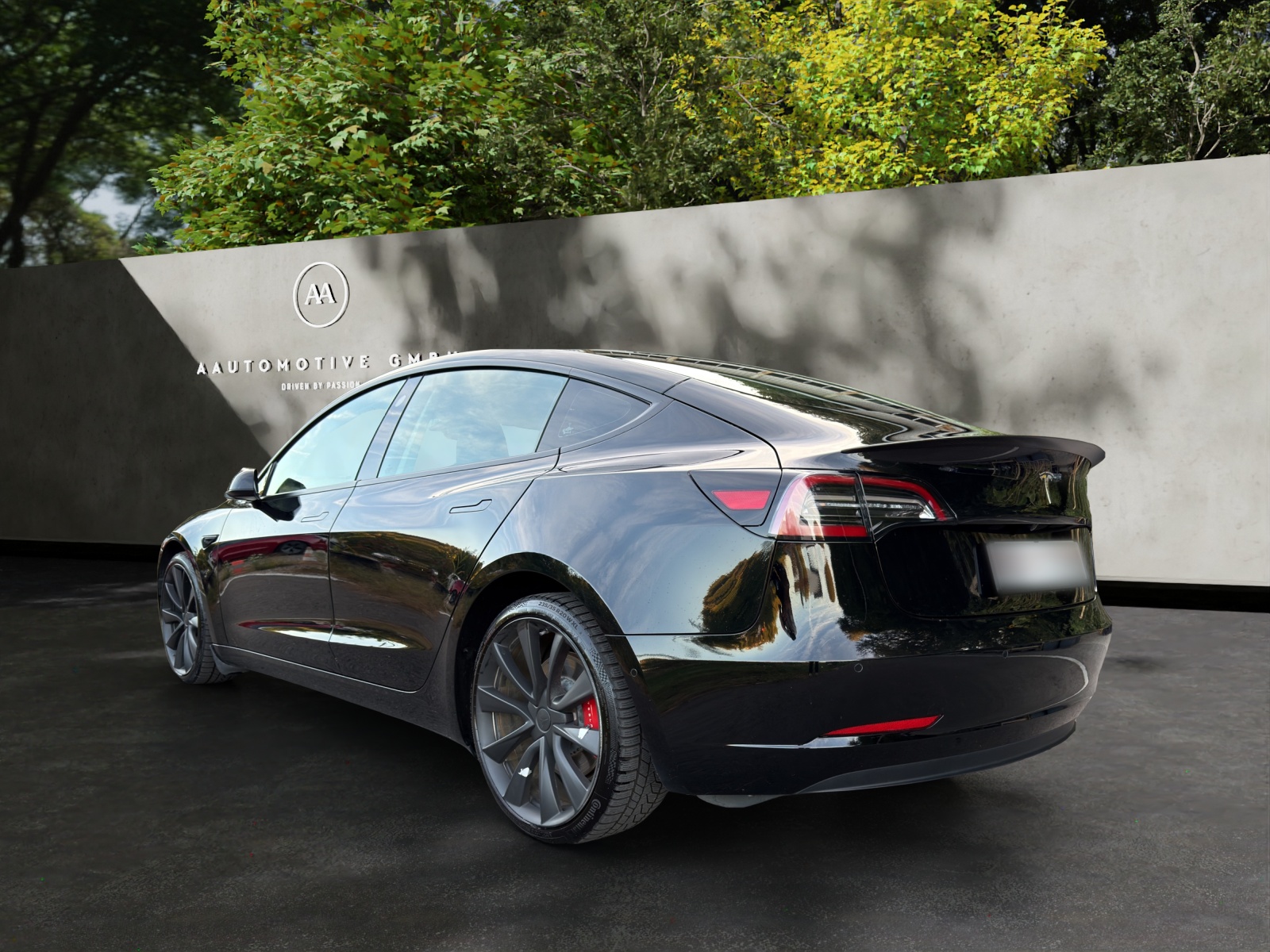 TESLA Model 3 Performance Dual Motor AWD-showroom-element-3