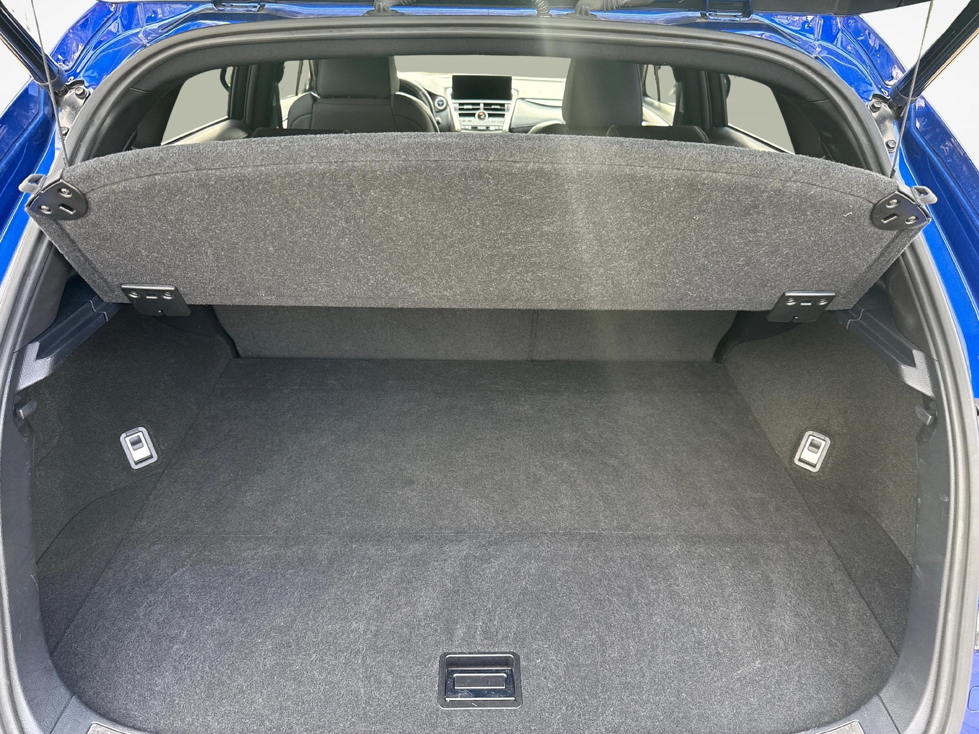 LEXUS NX 300h F-Sport-image-11