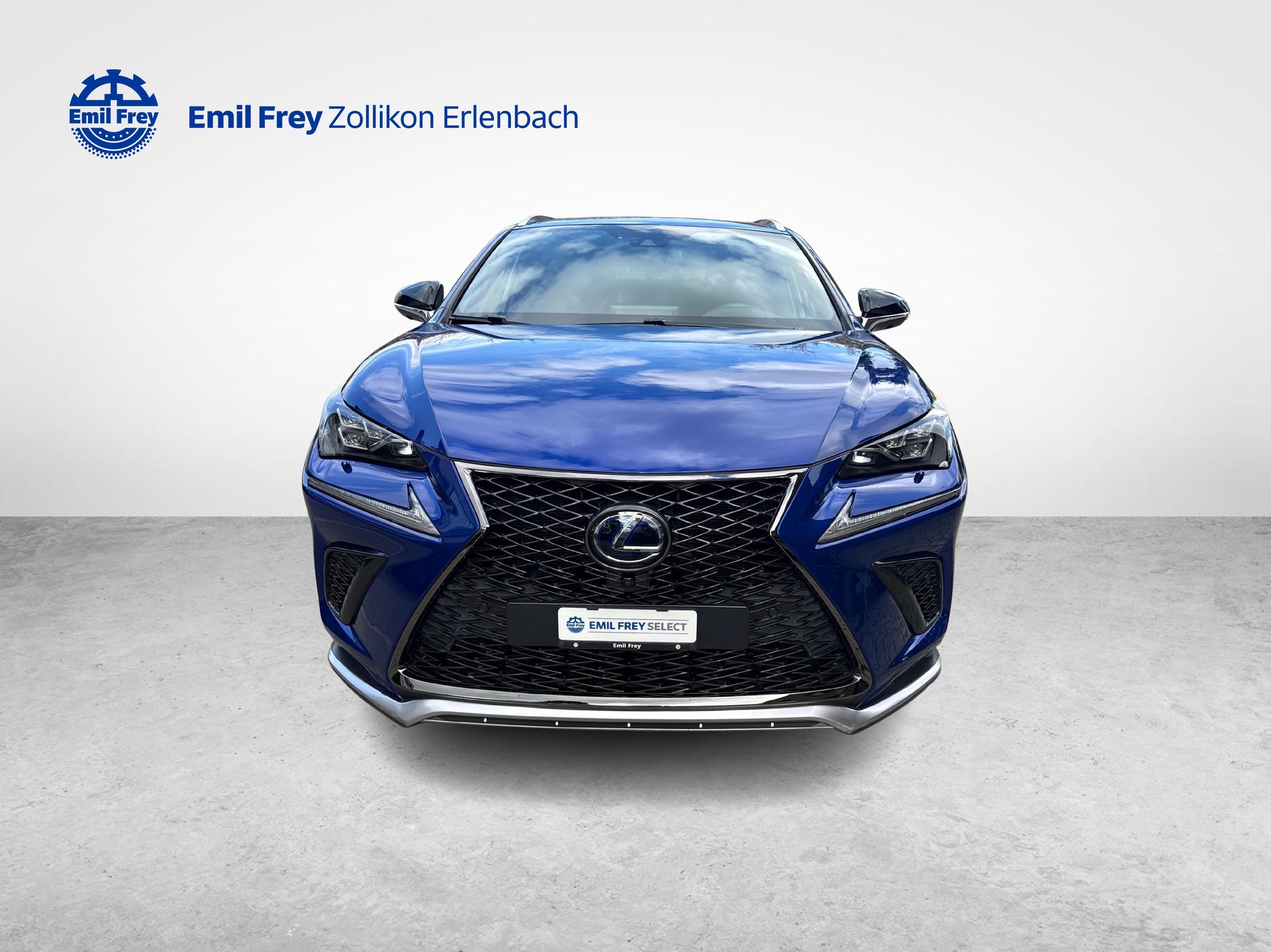 LEXUS NX 300h F-Sport-image-7