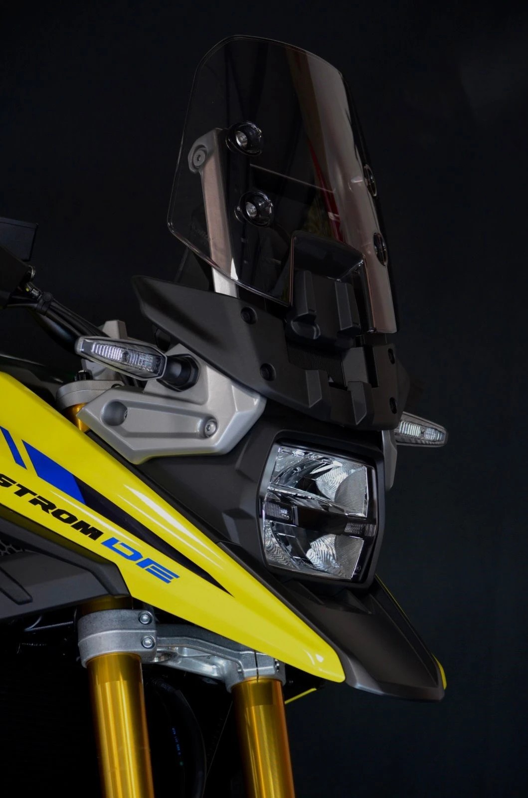 SUZUKI DL 1050 DE-image-4
