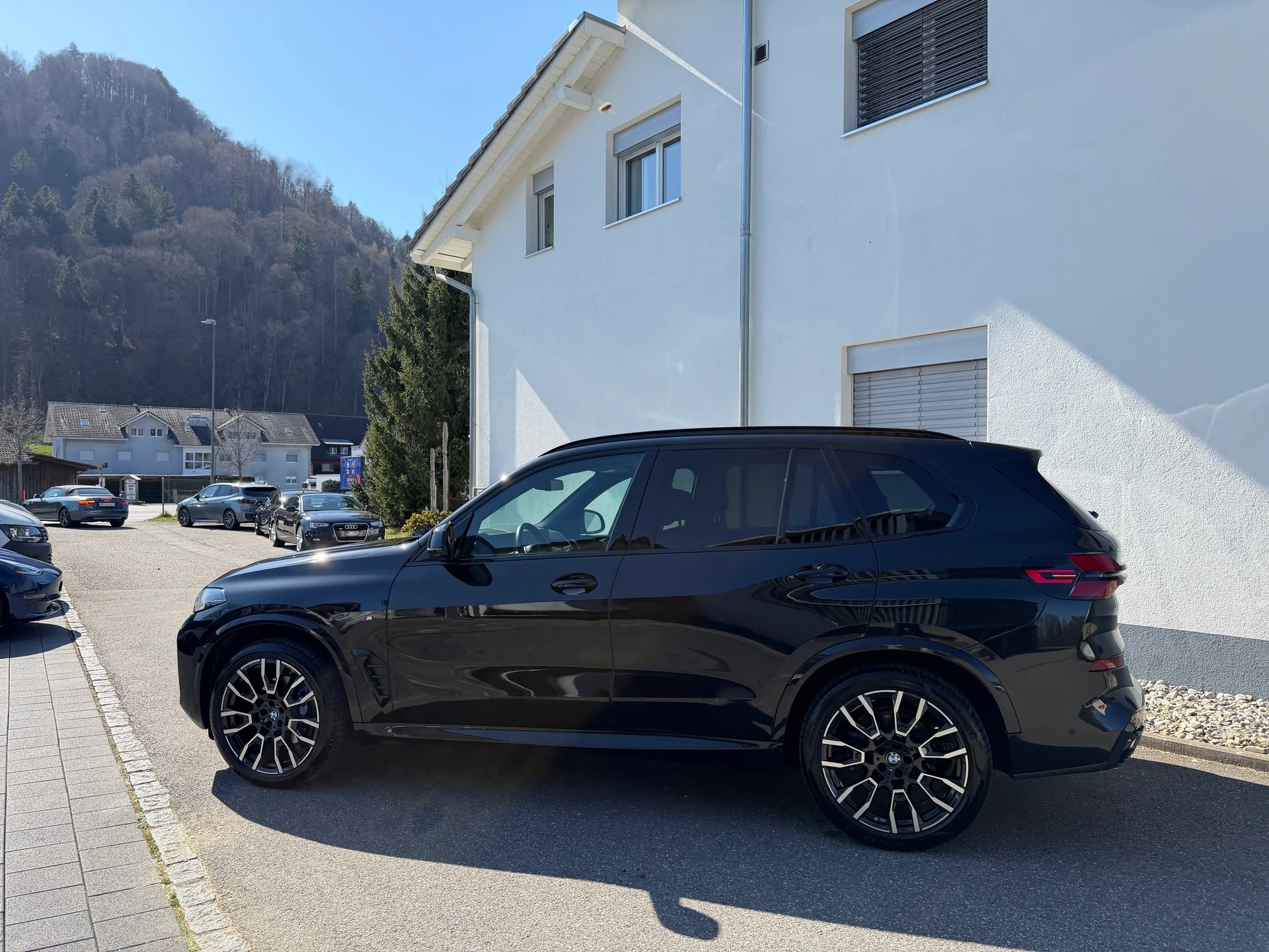 BMW X5 xDrive 48V 30d M Sport Pro Steptronic-image-12