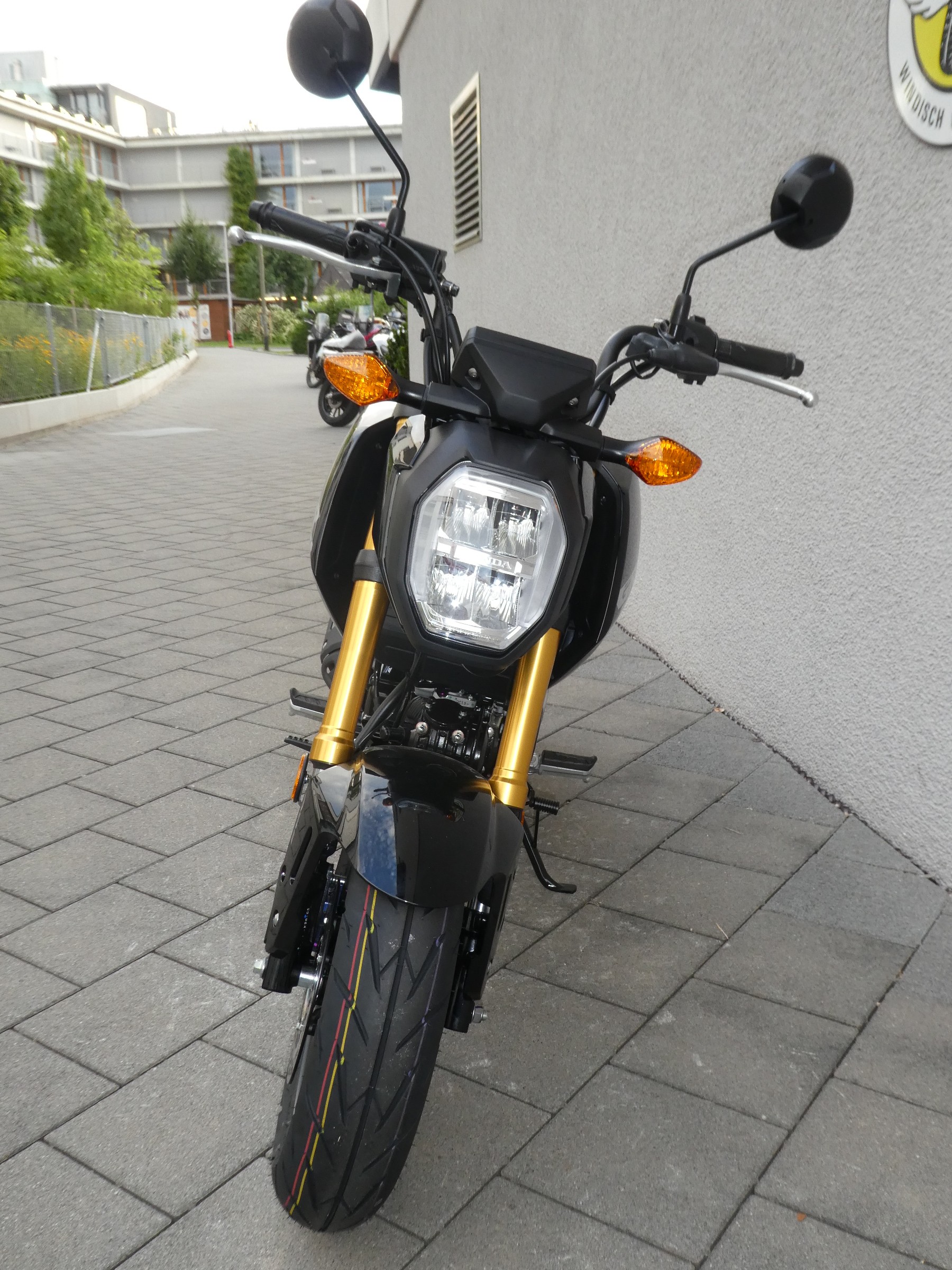 HONDA MSX 125-image-5