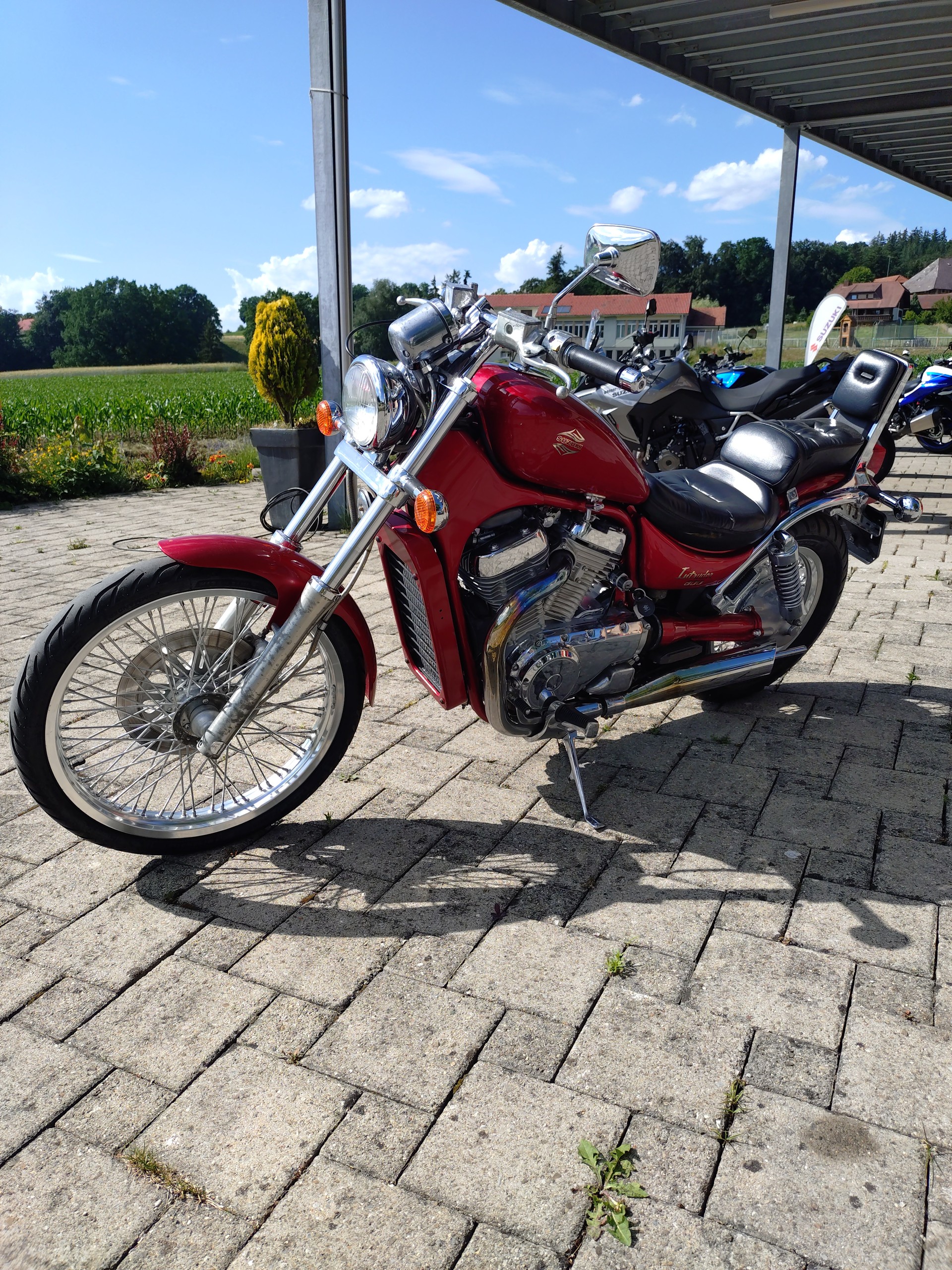 SUZUKI VS 800 GL Intruder N/P-image-0