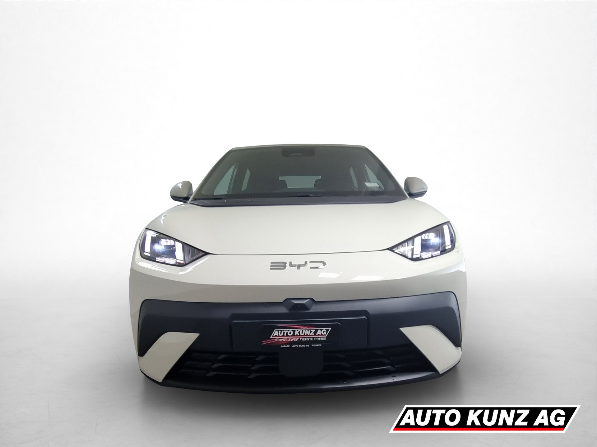 BYD Dolphin Surf 43kWh Comfort-showroom-element-1