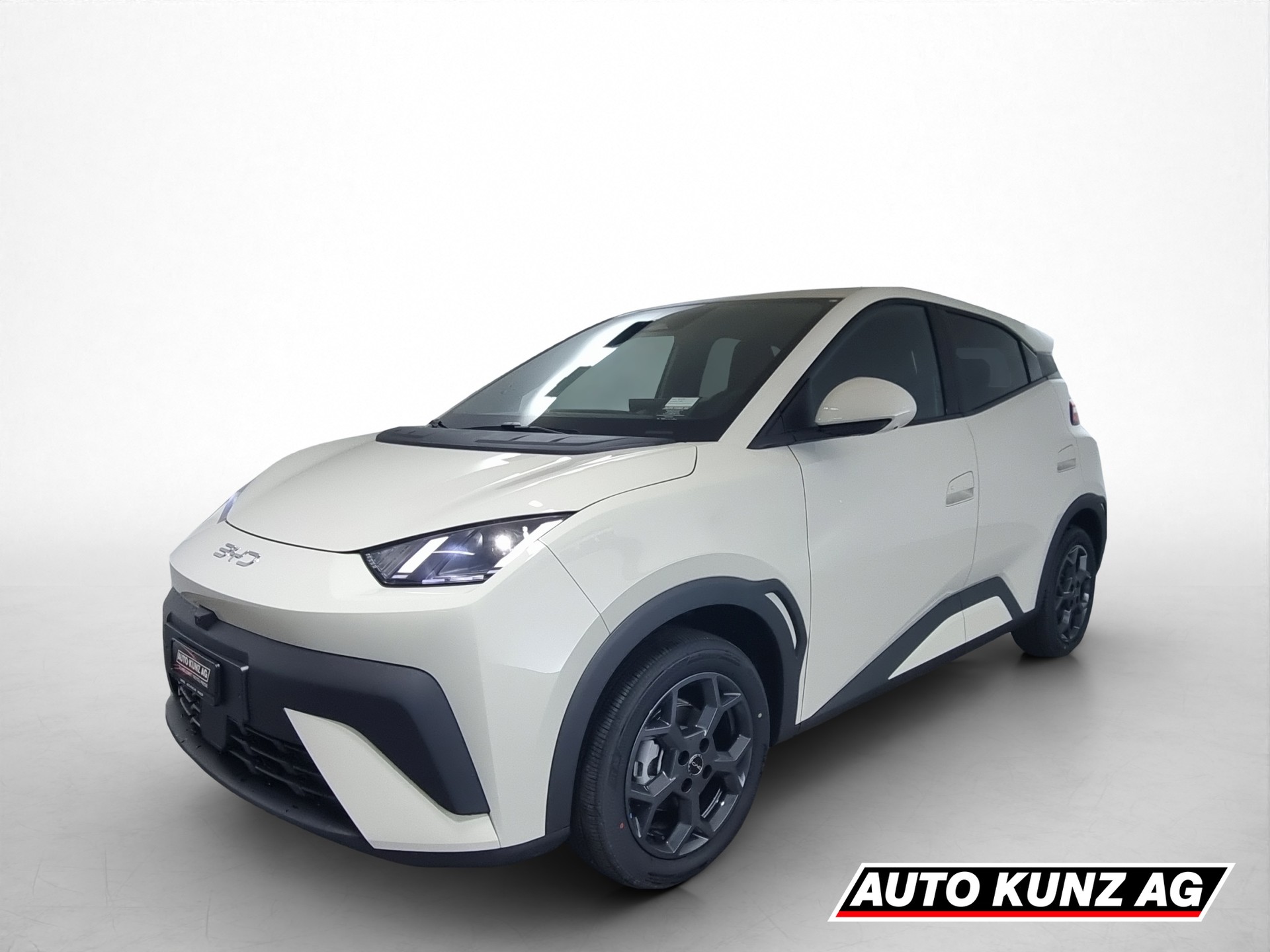 BYD Dolphin Surf 43kWh Comfort