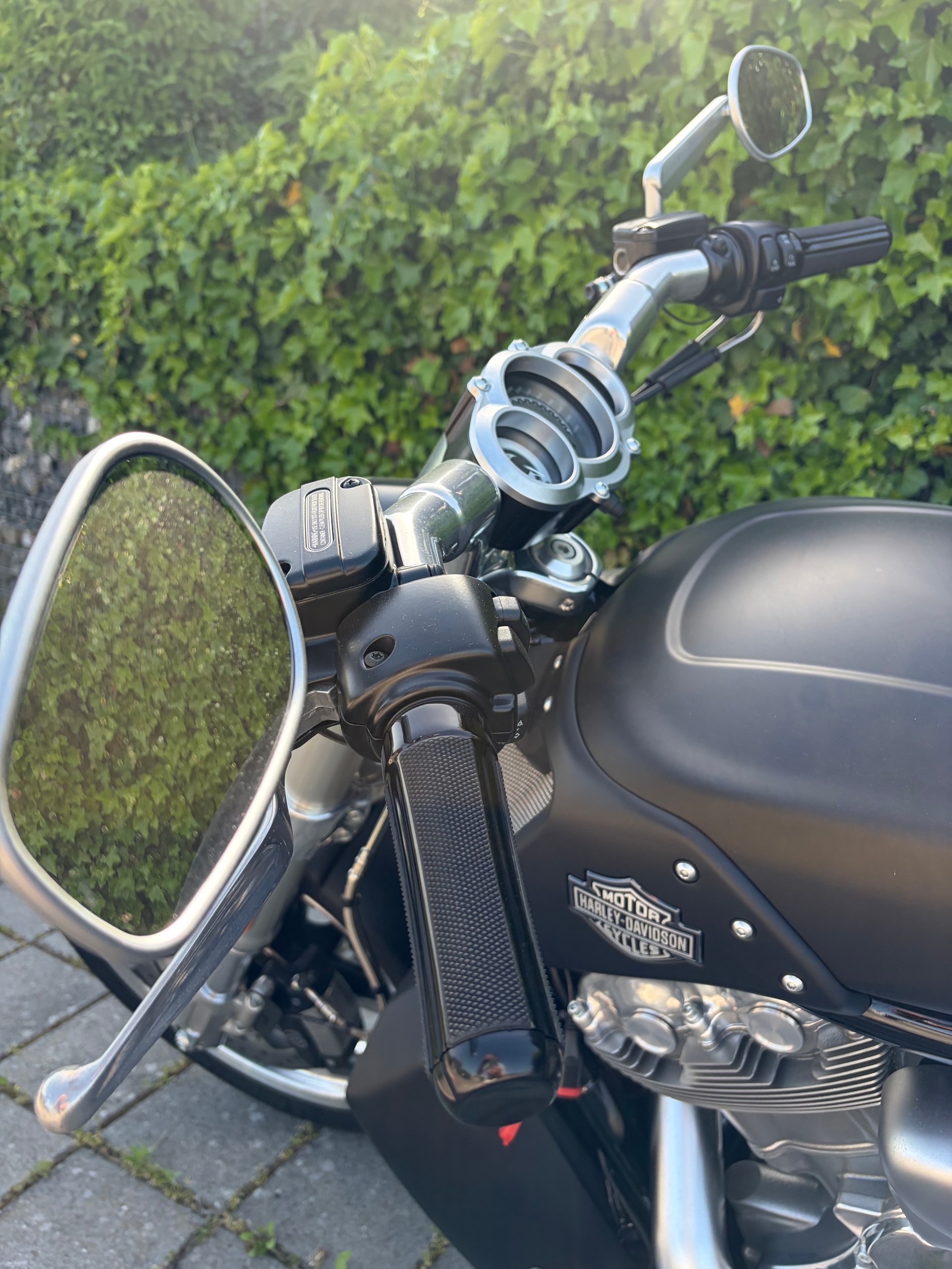 HARLEY-DAVIDSON VRSCF V-Rod Muscle ABS-image-1