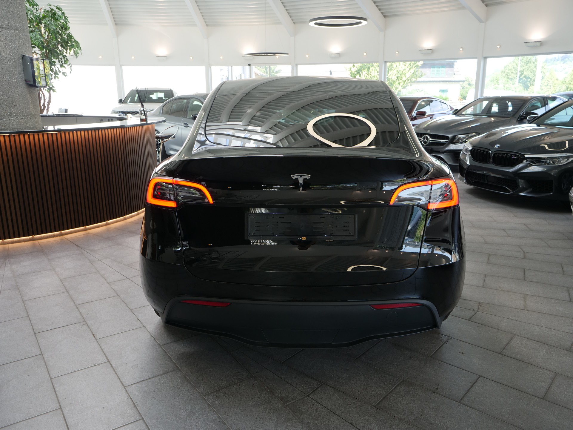 TESLA Model Y RWD-image-5