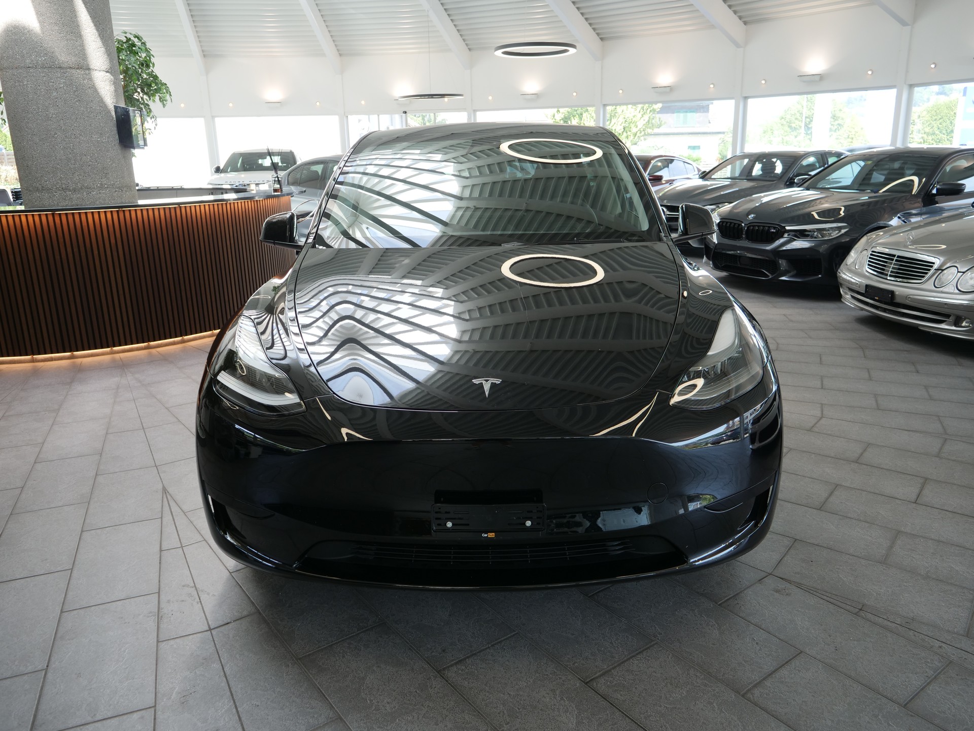 TESLA Model Y RWD-image-4