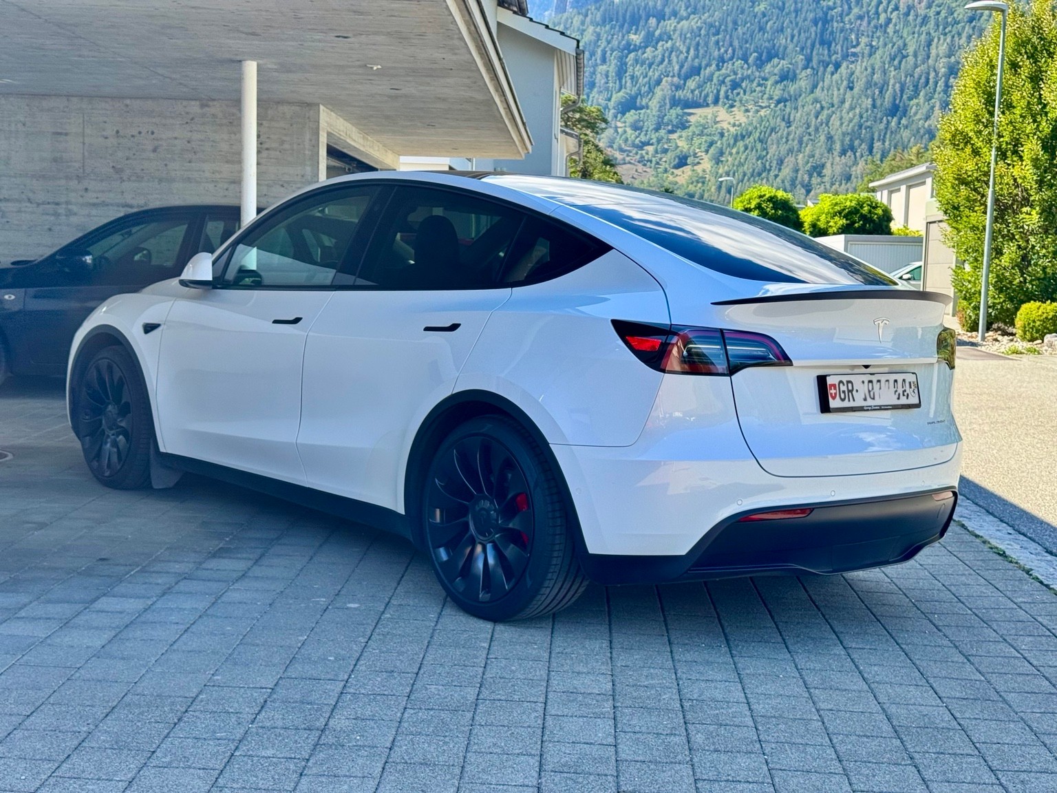 TESLA Performance D-image-2