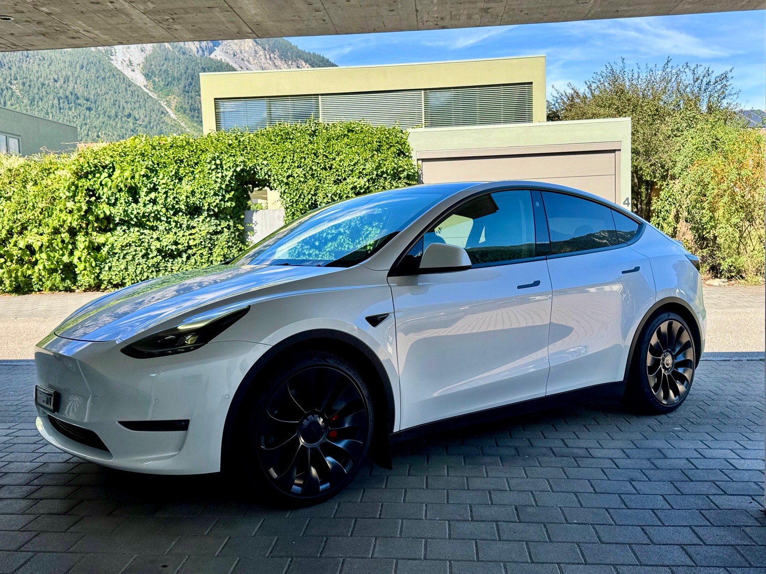 TESLA Performance D