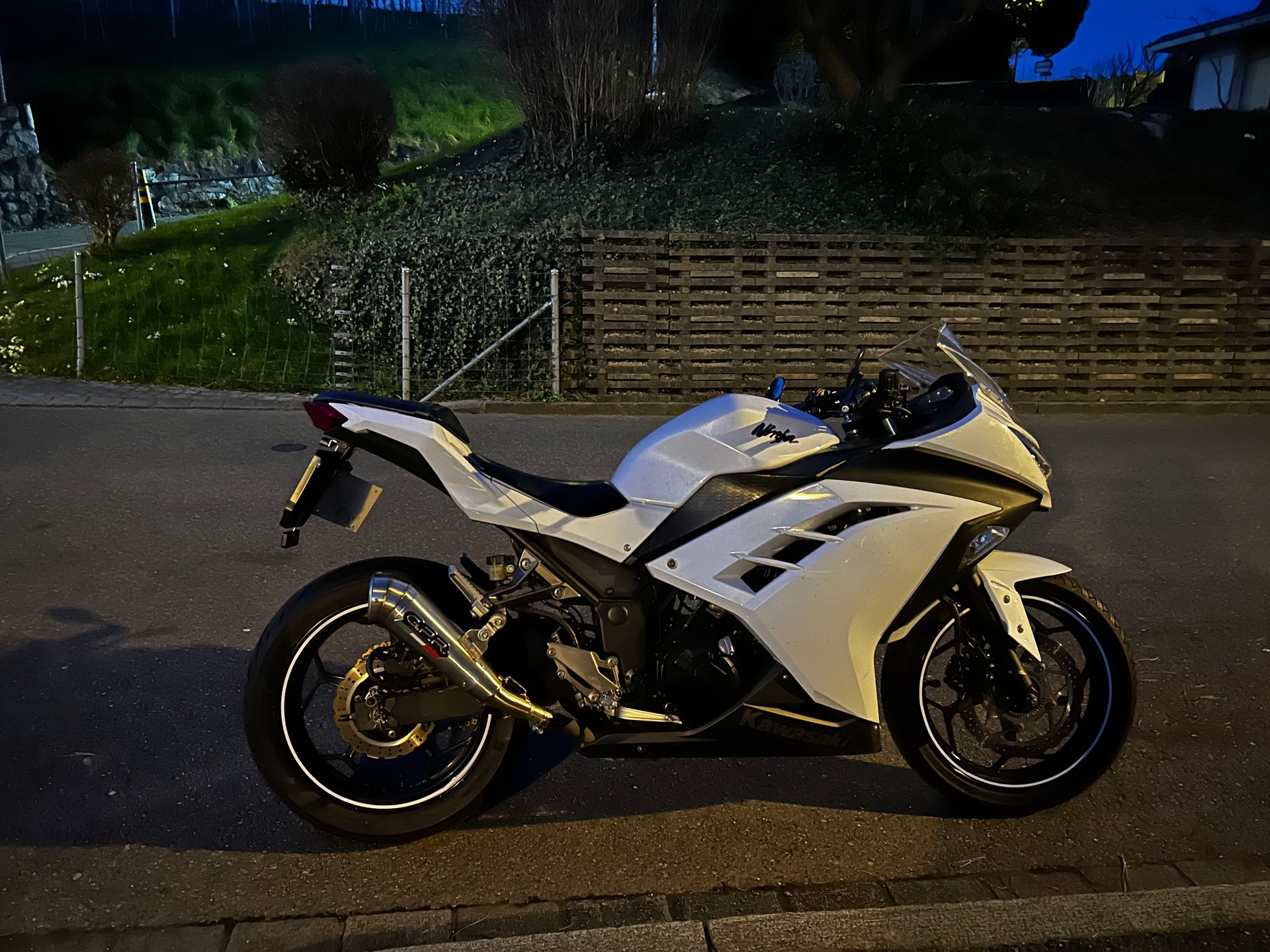 KAWASAKI Ninja 300 ABS-image-0