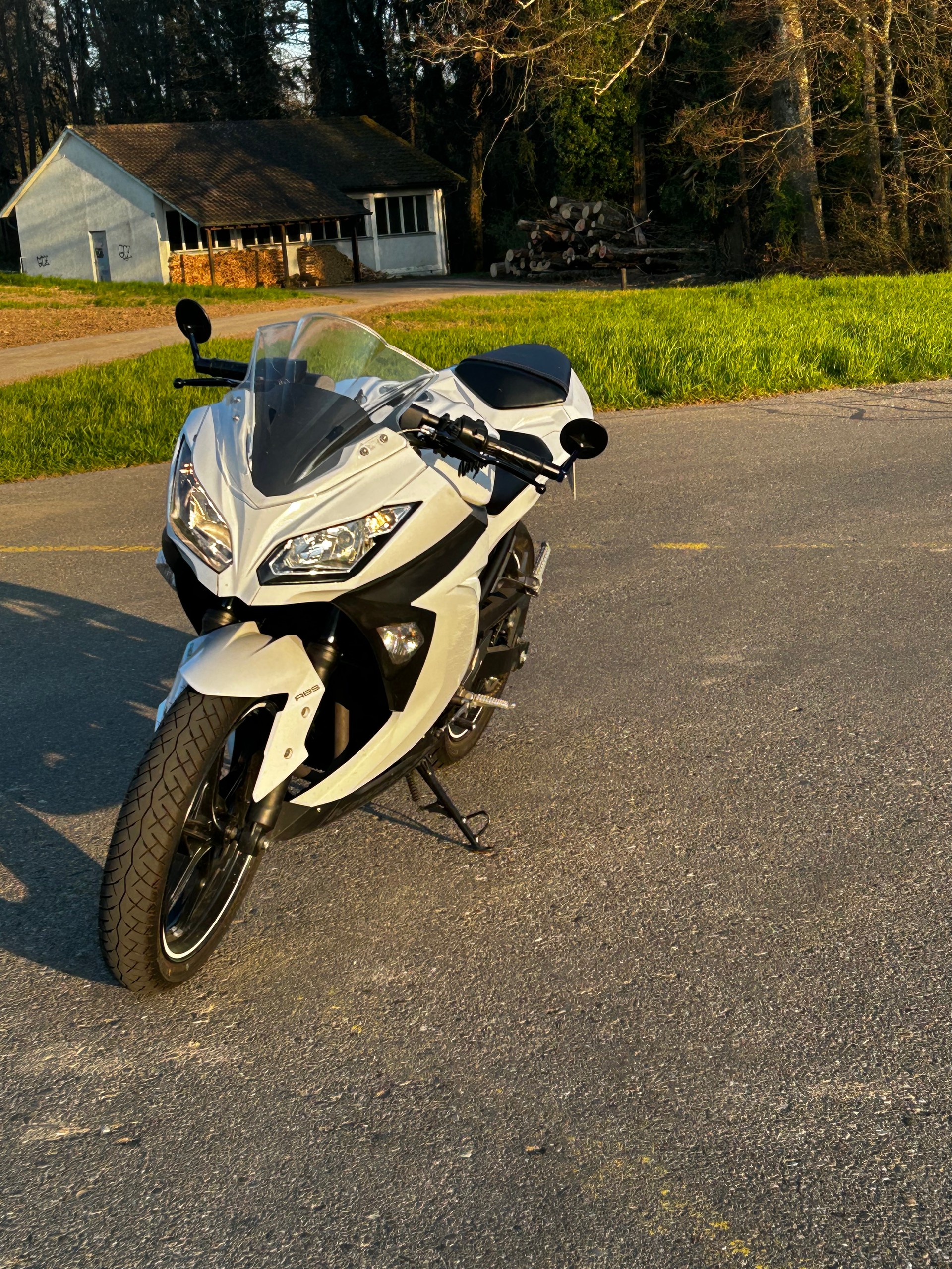 KAWASAKI Ninja 300 ABS-image-3