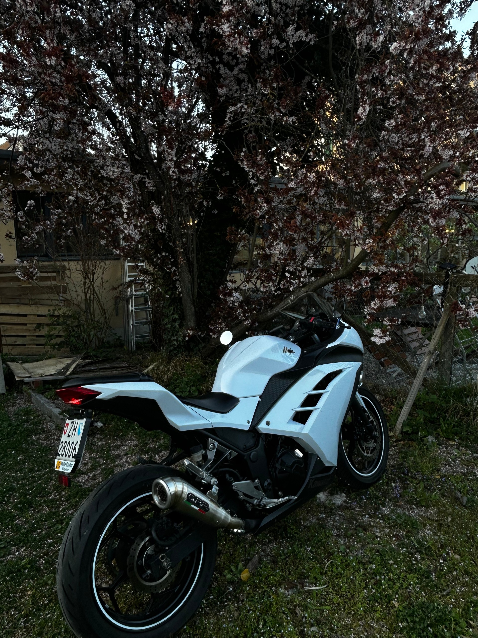 KAWASAKI Ninja 300 ABS-image-1