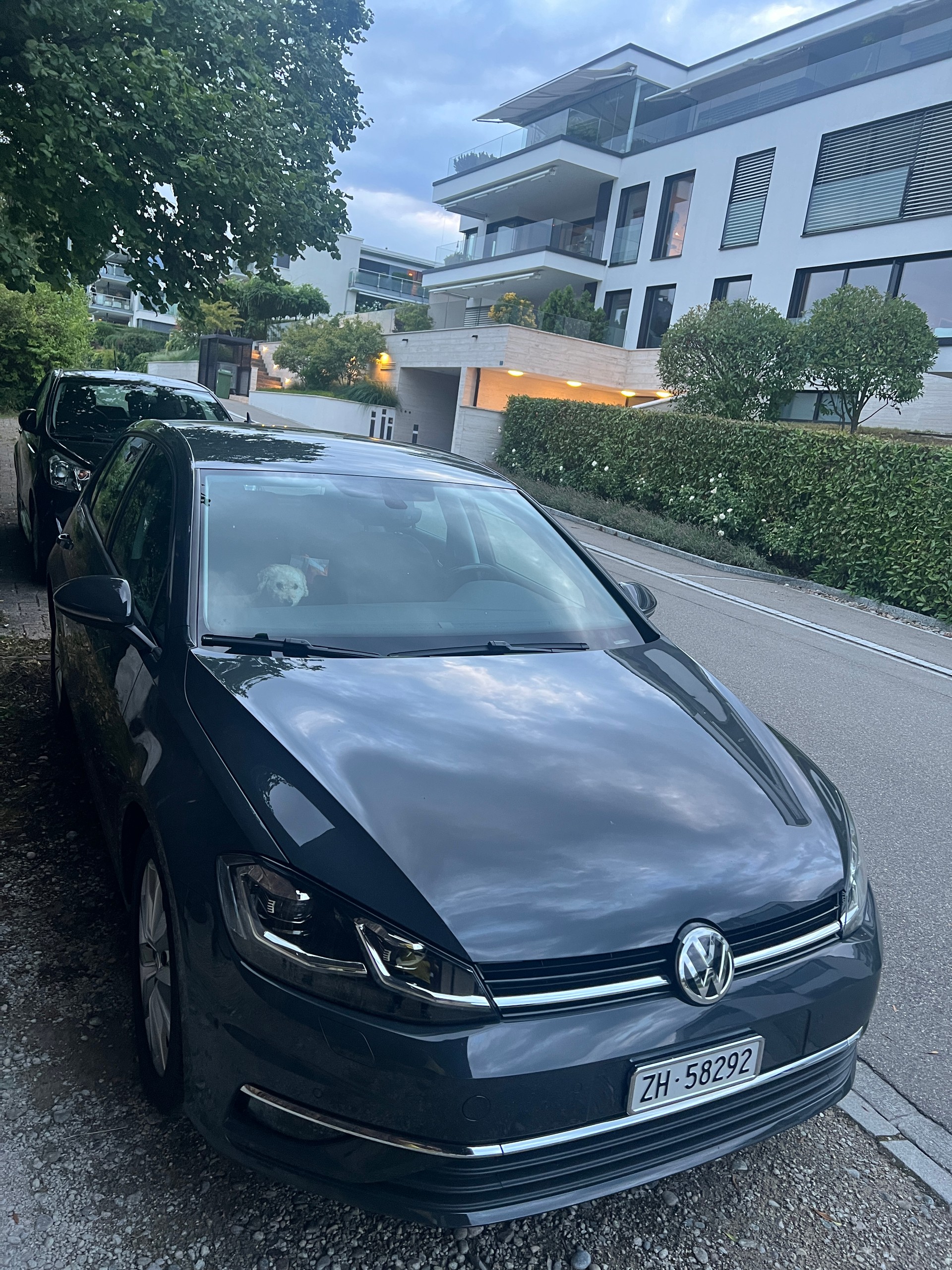 VW Golf 1.5 TSI EVO Highline DSG-image-1