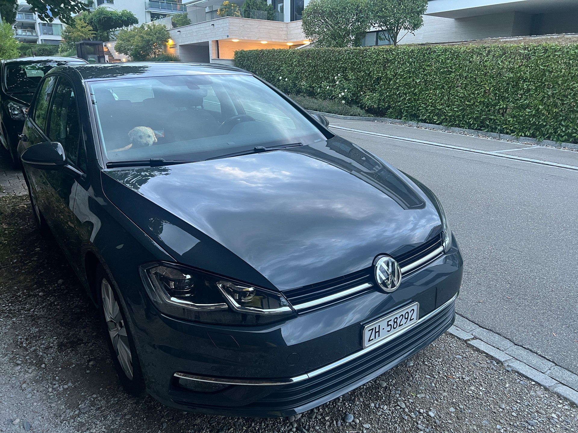 VW Golf 1.5 TSI EVO Highline DSG-image-2