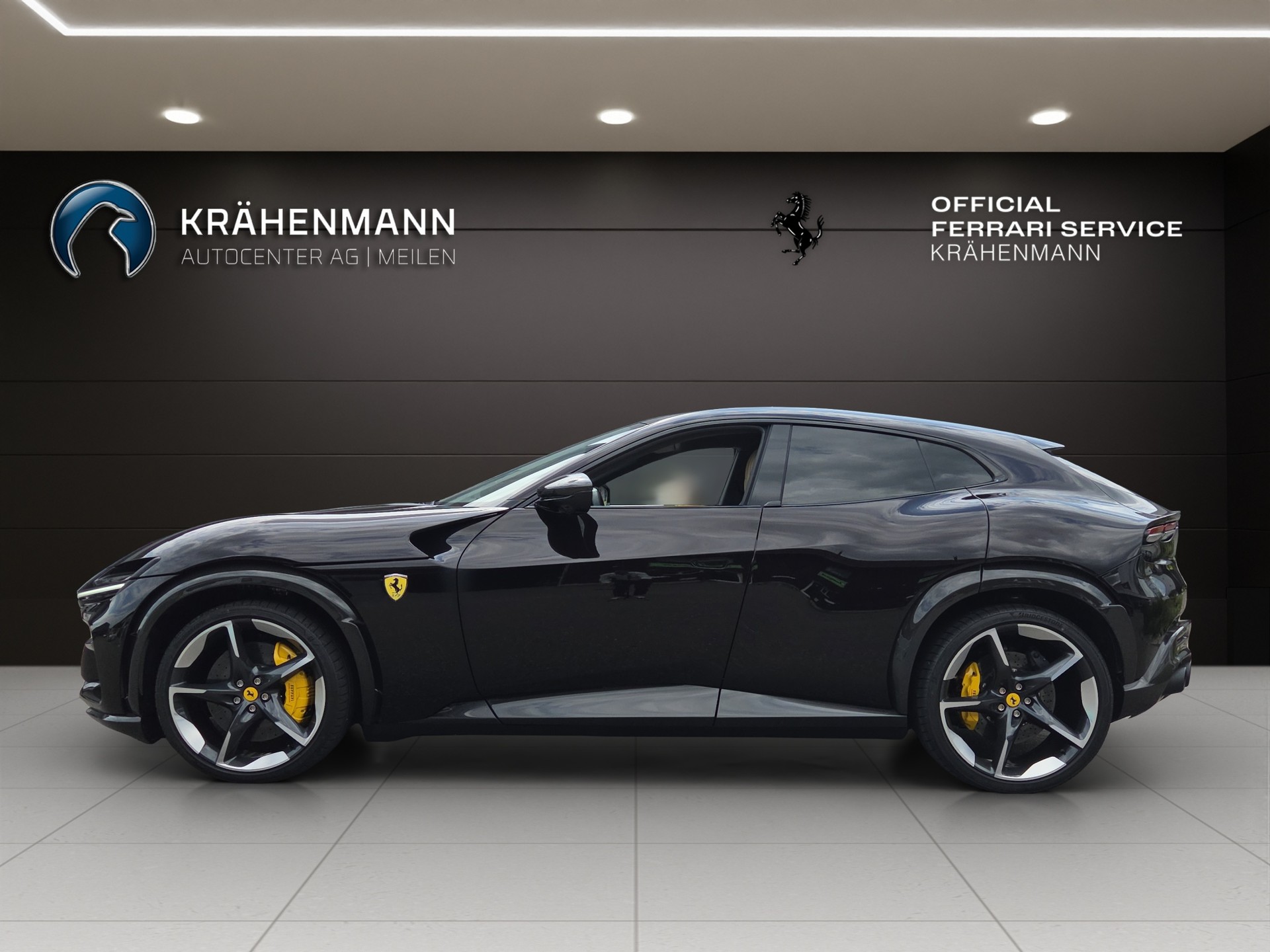 FERRARI PUROSANGUE ~-showroom-element-1
