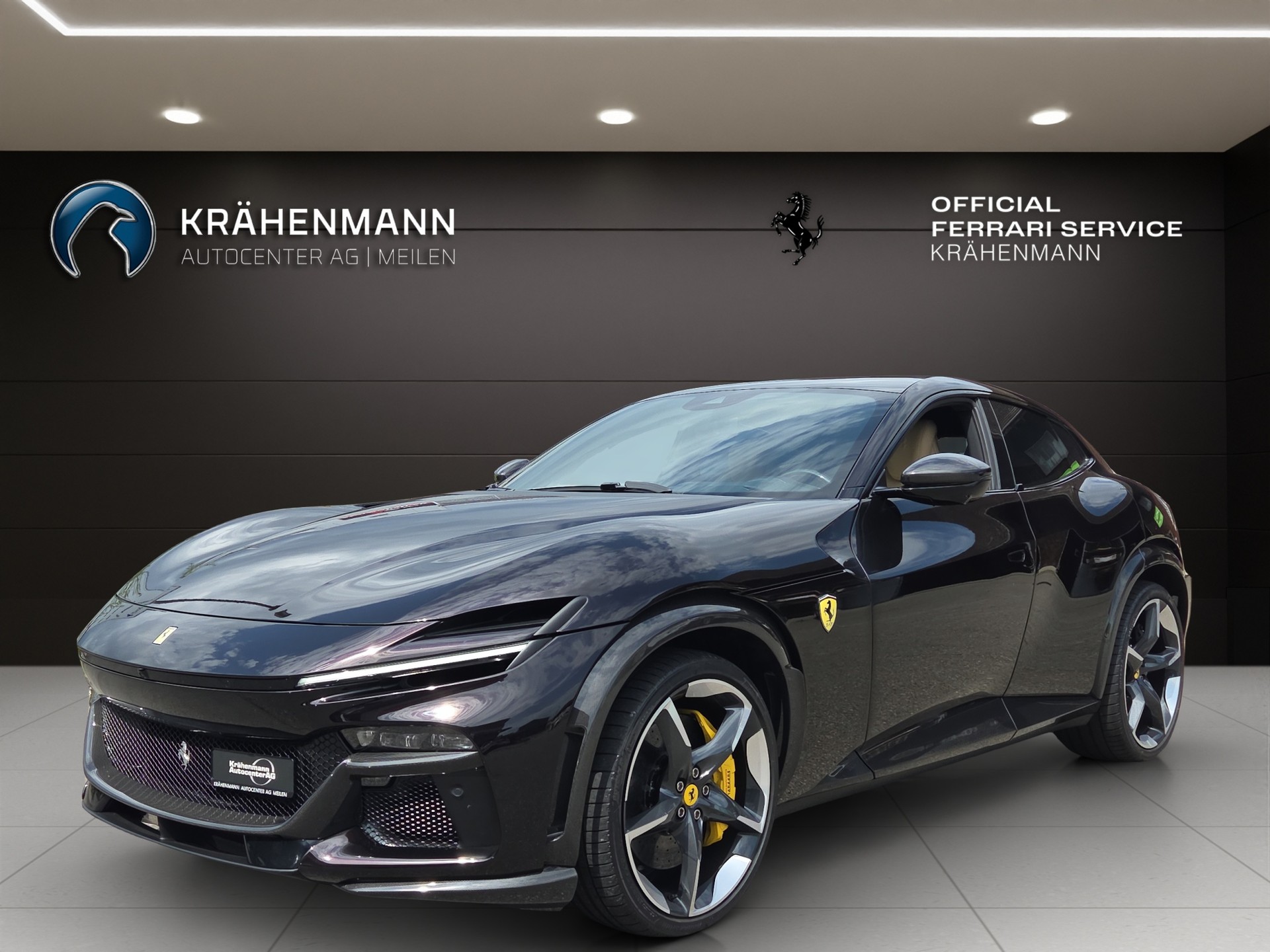 FERRARI PUROSANGUE ~