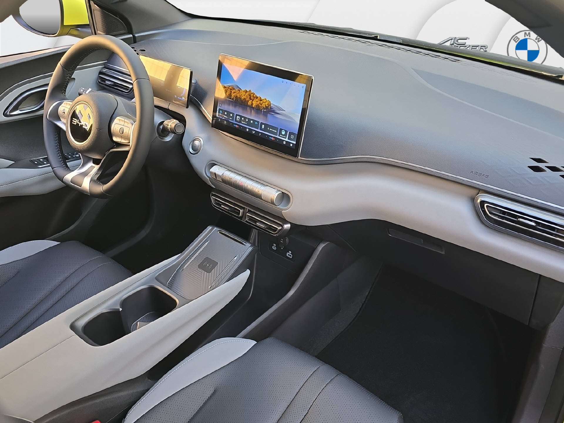 BYD Dolphin Surf Comfort-image-10