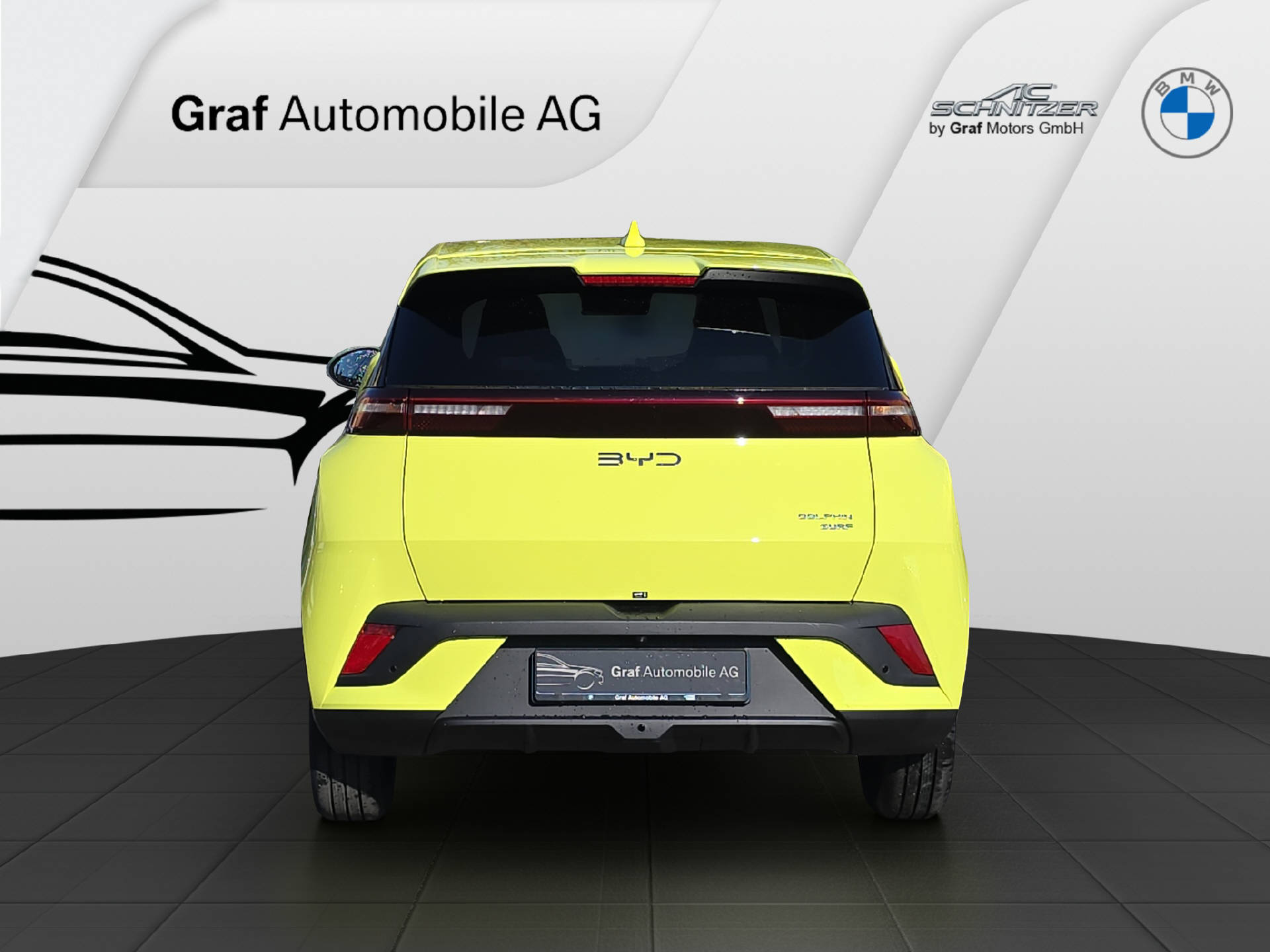BYD Dolphin Surf Comfort-image-5