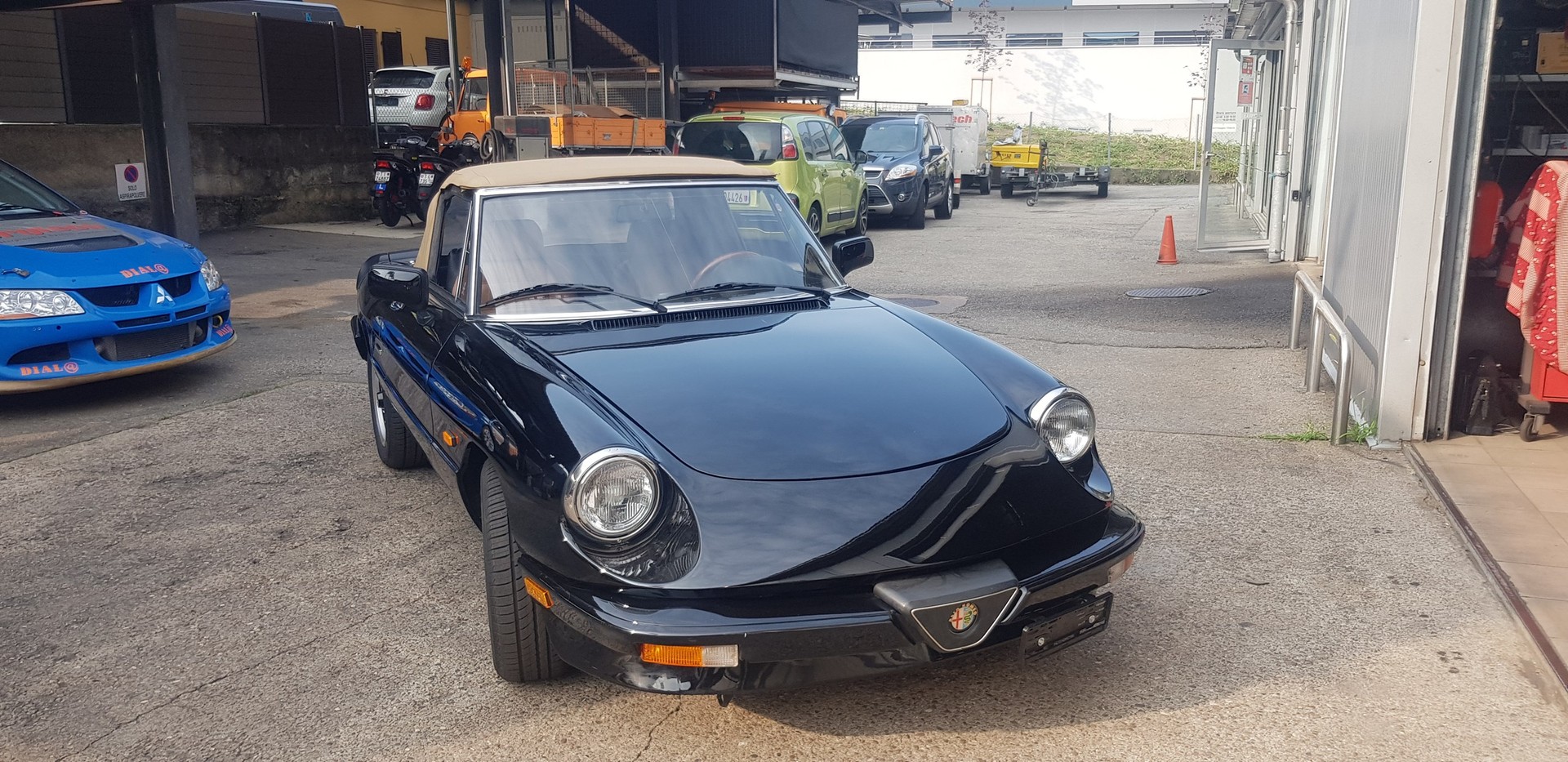 ALFA ROMEO SPIDER