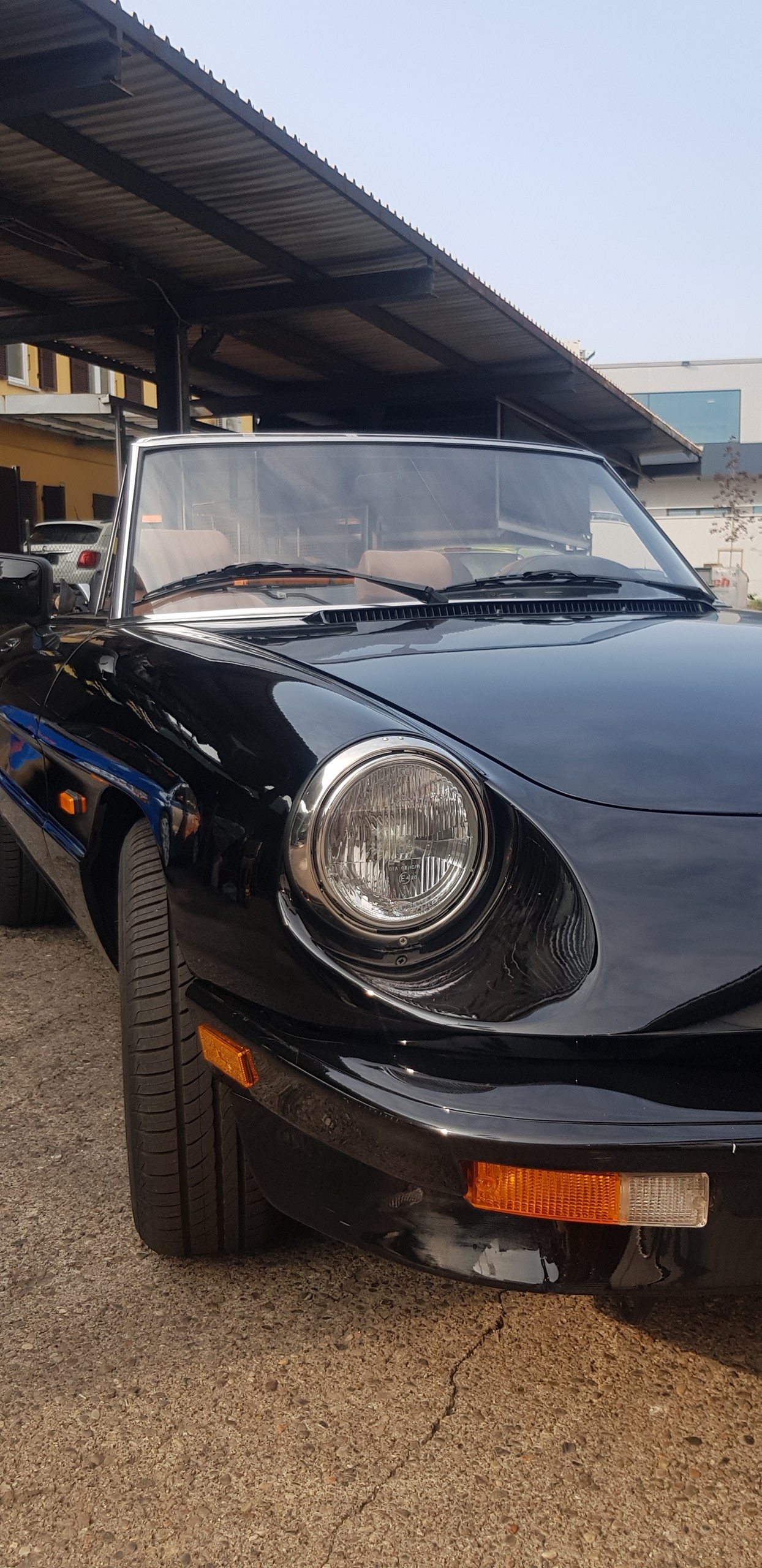 ALFA ROMEO SPIDER-image-10
