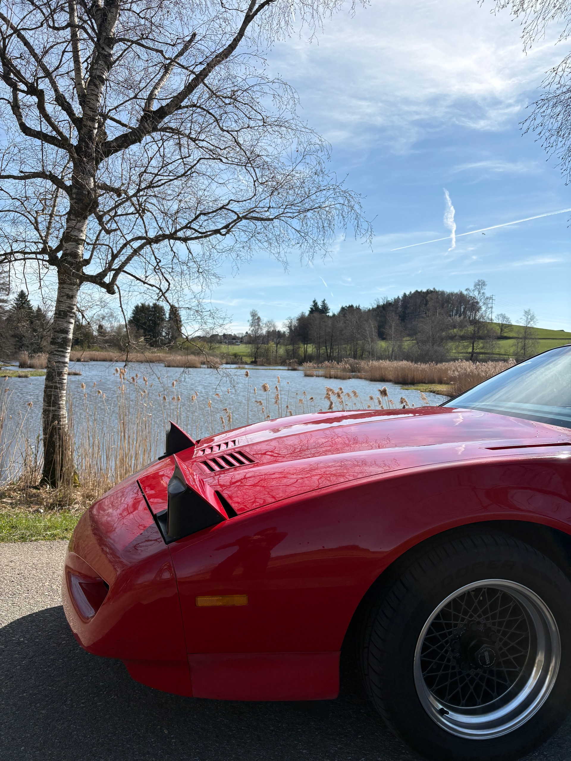 PONTIAC Firebird 5.0 V8 Trans Am-image-10